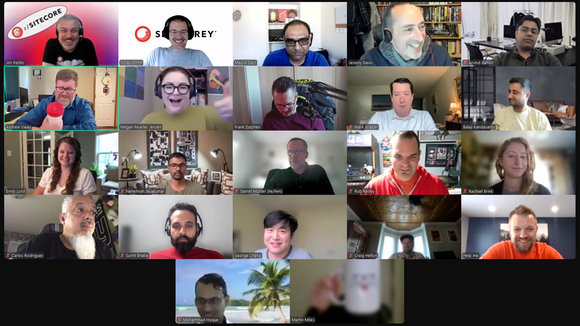 Screenshot of attendees on the September 13, 2024 #SitecoreLunch call.