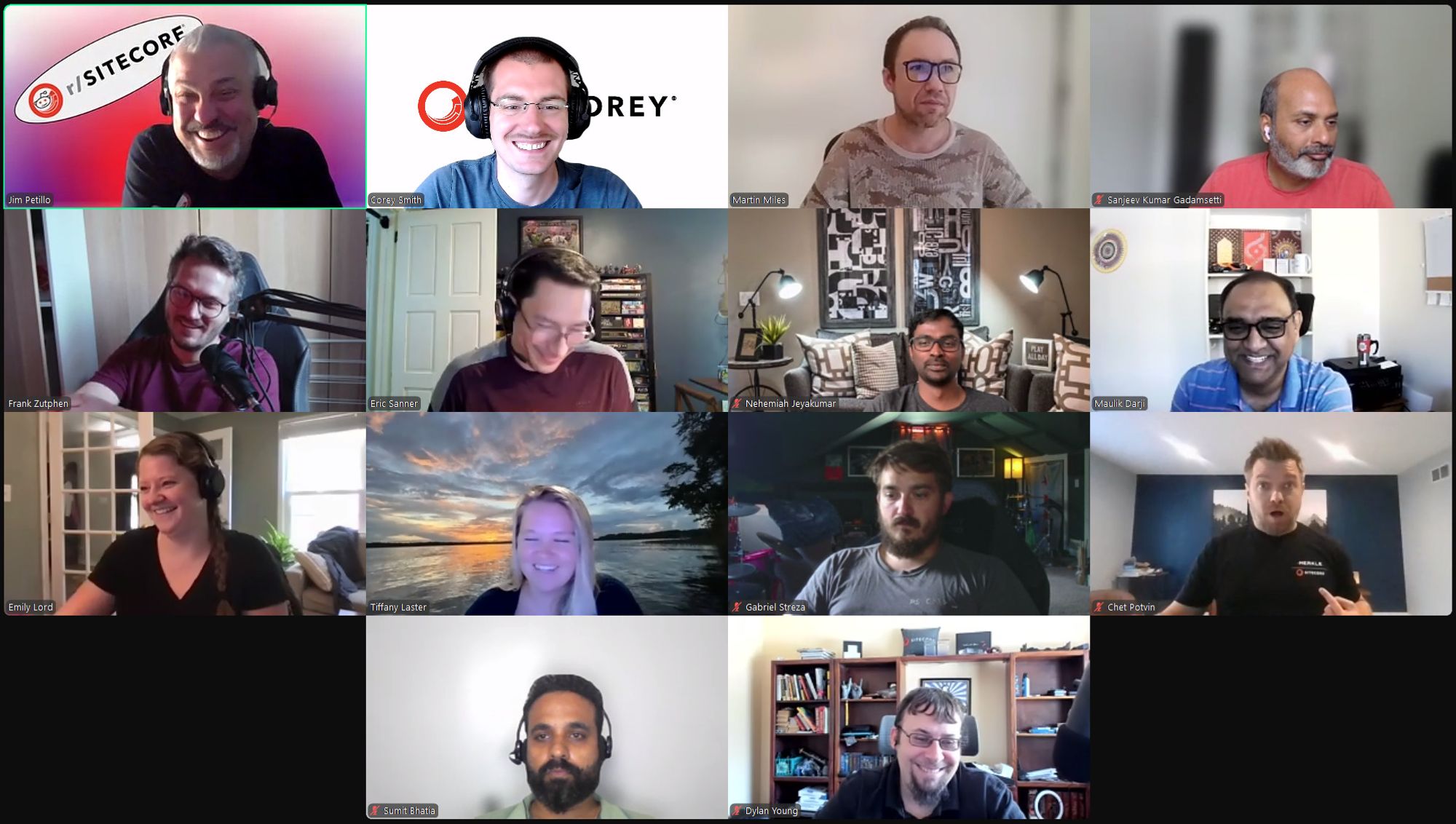 Screenshot of attendees on the August 9, 2024 #SitecoreLunch call.