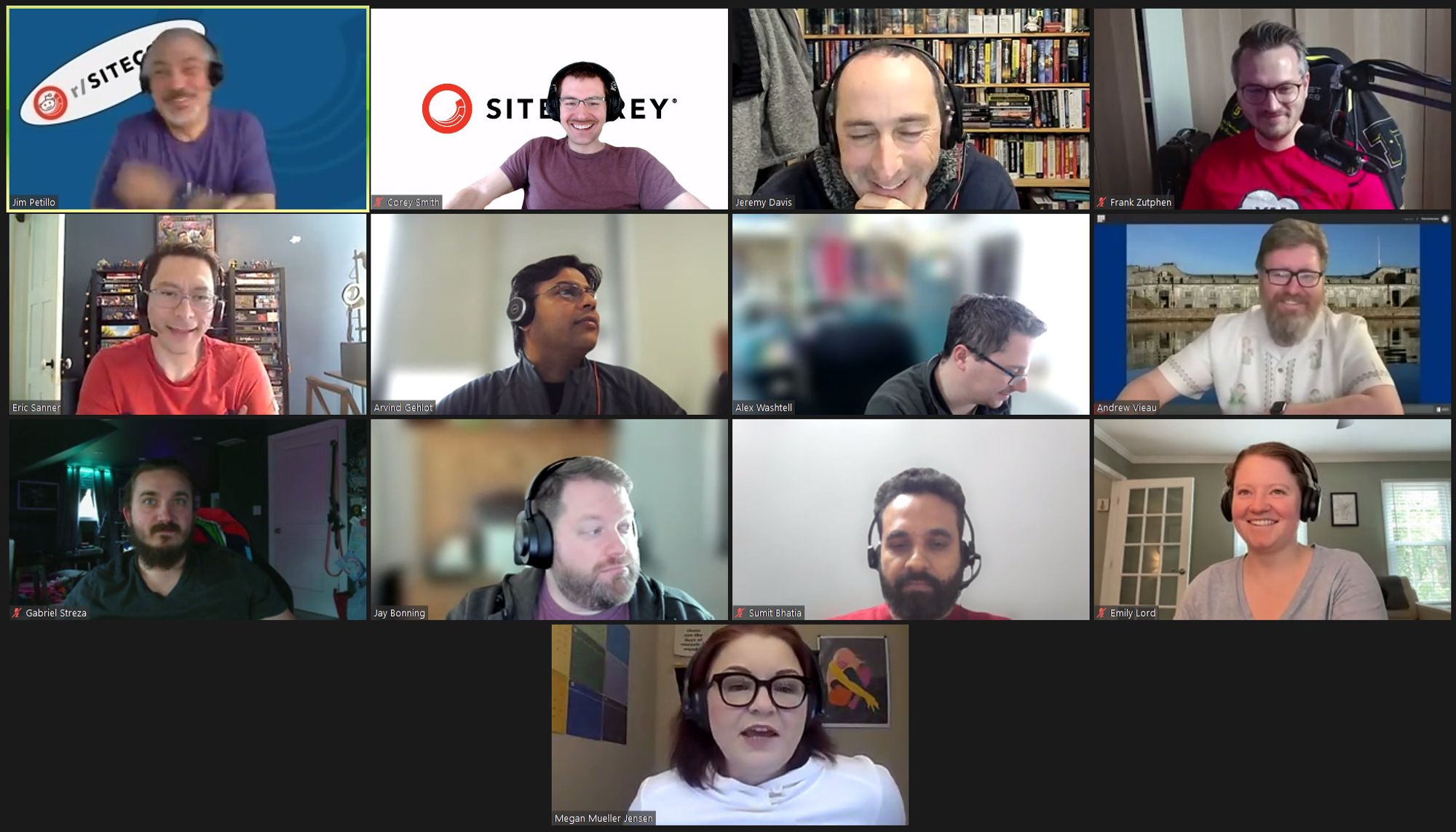 Screenshot of attendees on the April 26, 2024 #SitecoreLunch call.