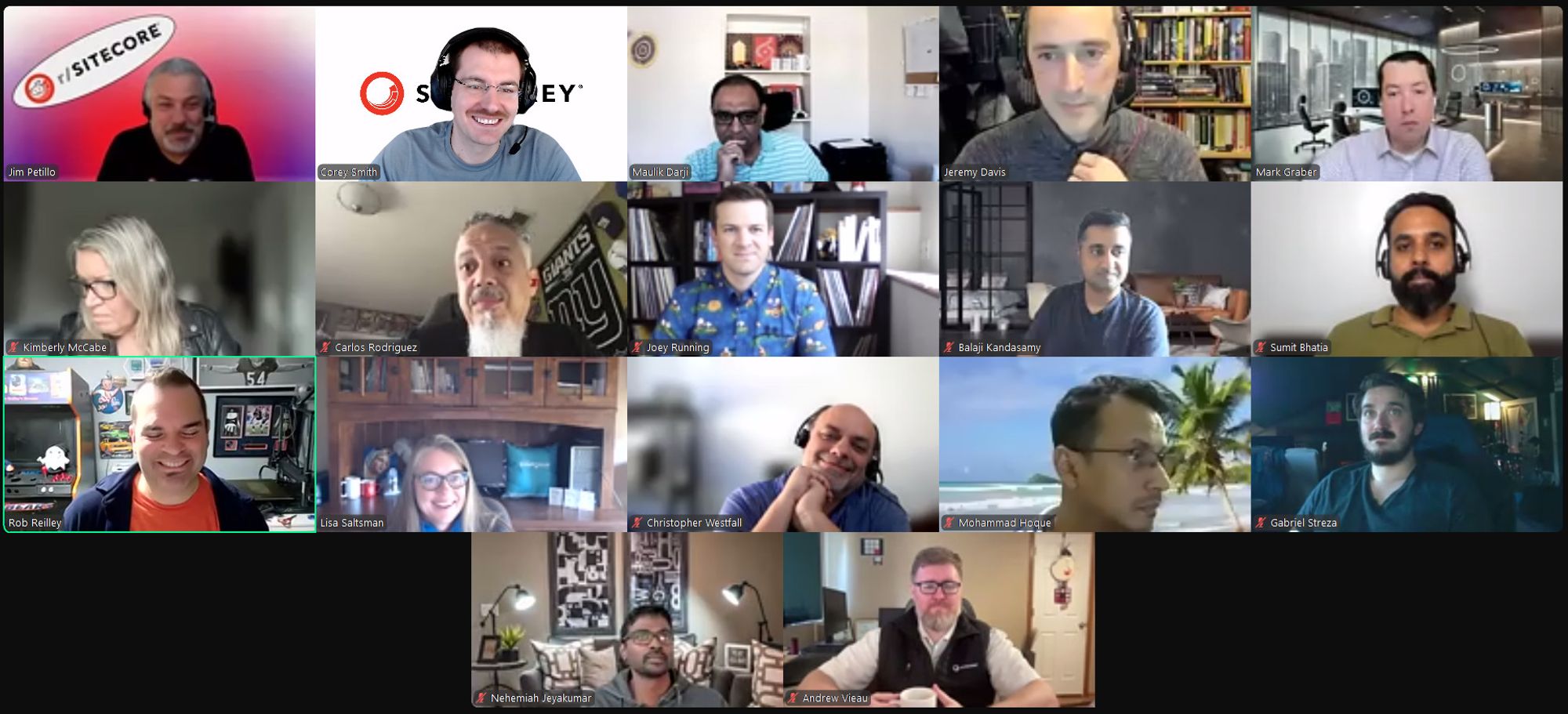 Screenshot of attendees on the October 11, 2024 #SitecoreLunch call.