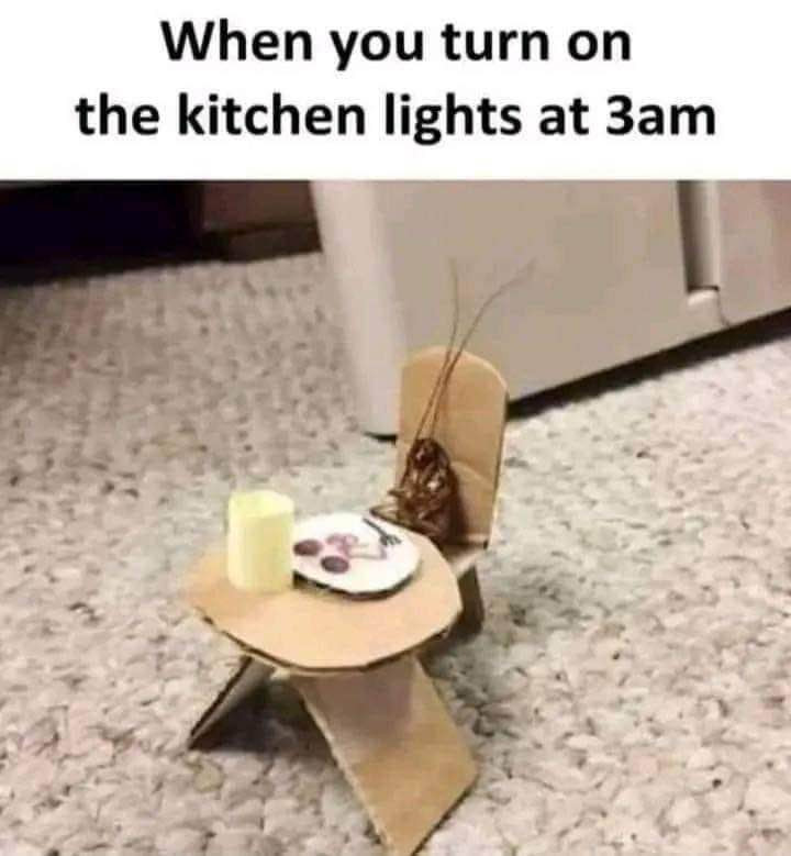 Caption reads "When you turn on the kitchen lights at 3am" with a picture of a cardboard chair and table with a cockroach sitting in the chair. The table has a tiny plate with food on it and a fork. There is also a cup of orange juice on the table.