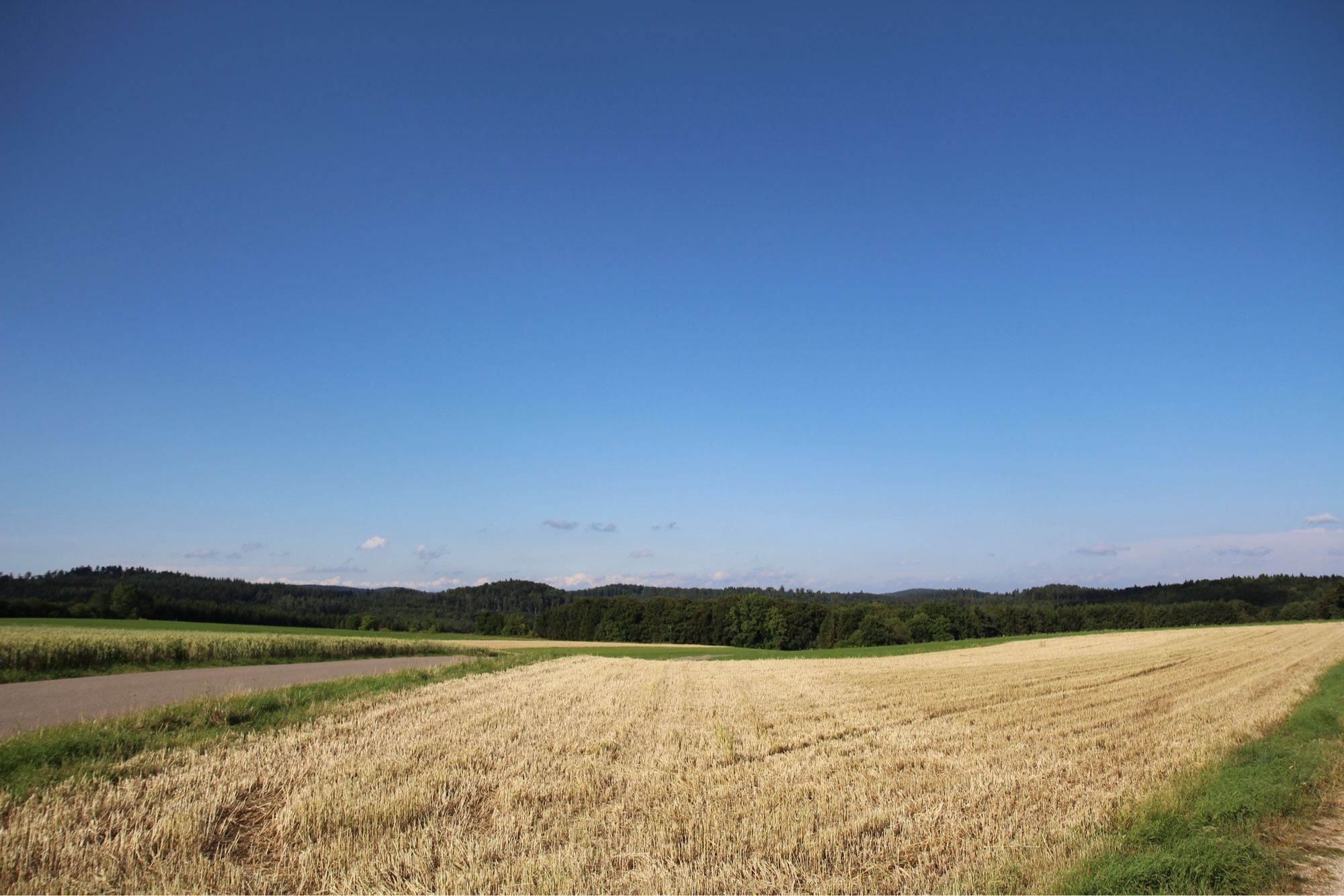 Feld mit blauem Himmel in Meßstetten, Schwäbische Alb, Zollernalbkreis