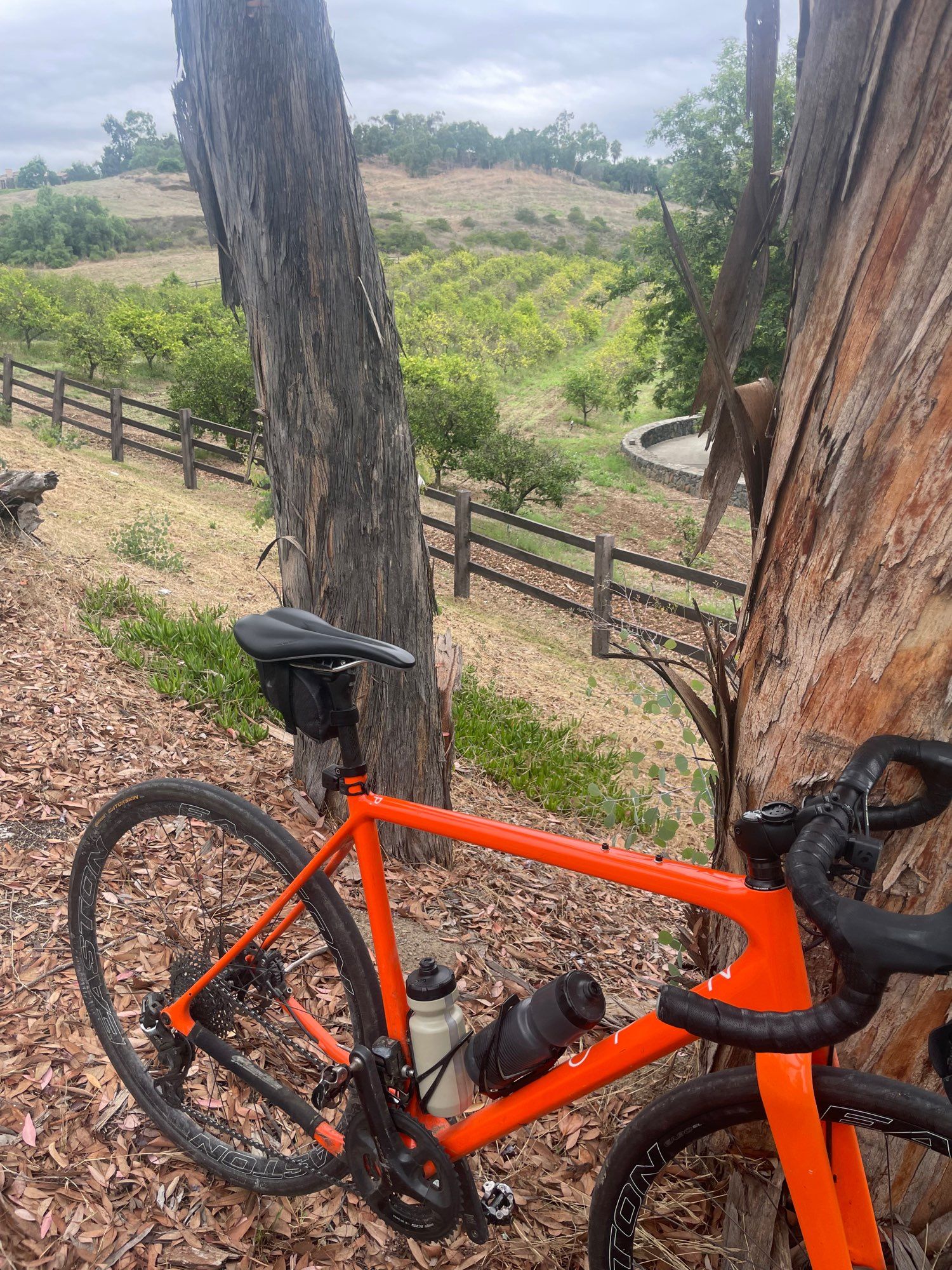 Orange bike leaned on a tree in front of rolling San Diego hills.