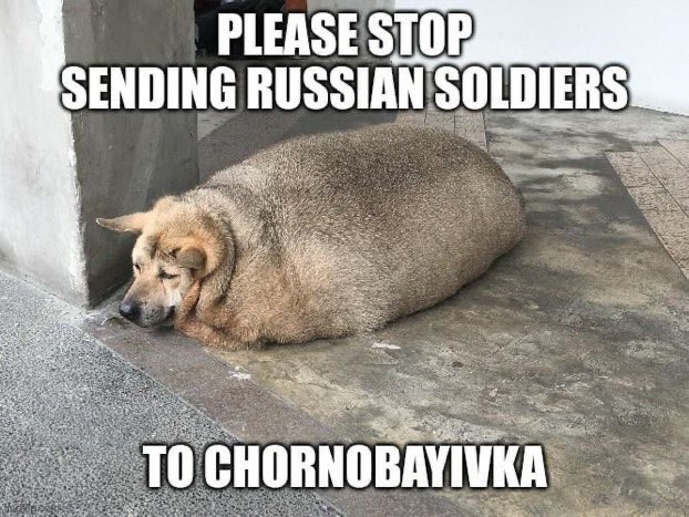 A very fat dog said:
Stop sending russian soldiers to Chornoba<ivka.