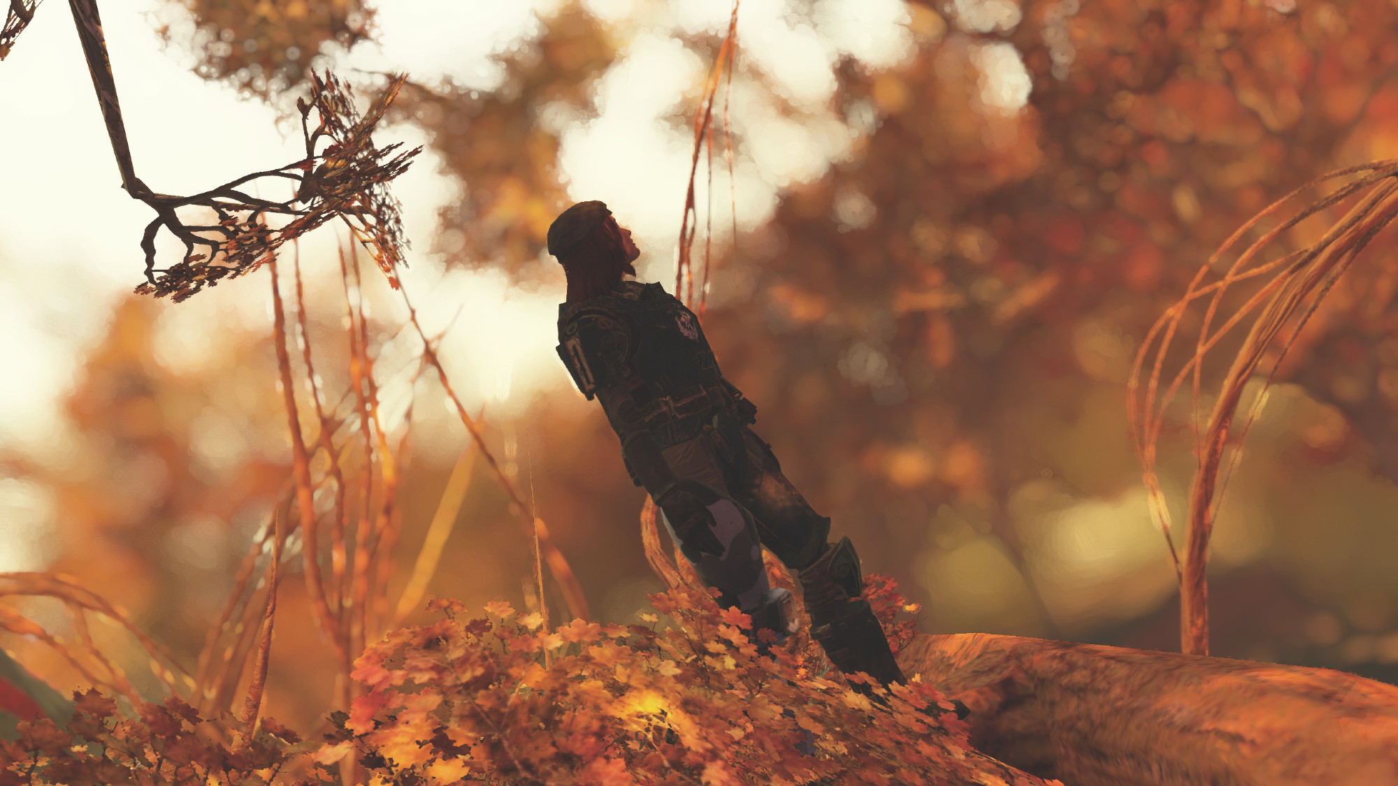 A screenshot of Fallout 76 featuring my character on a tree with autumnal leaves and a blurry background.