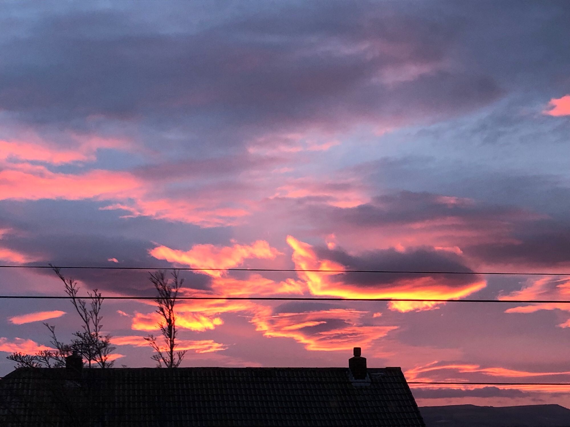 A glorious sunrise over the neighbours rooftops - this beauty only lasted a matter of seconds before fading to pastels