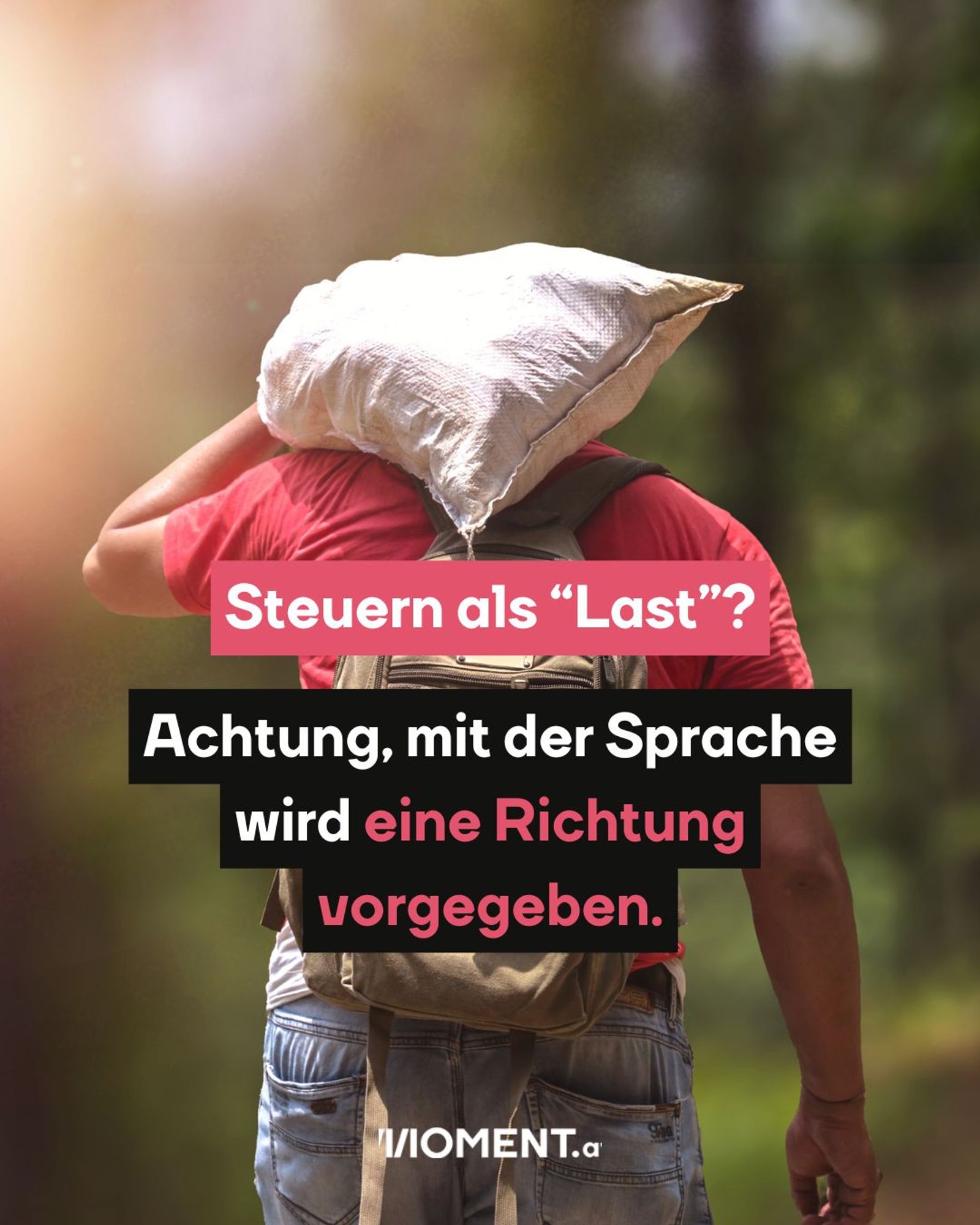 TEXT: "Steuern als "Last"? Achtung mit der Sprache wird eine Richtung vorgegeben." Ein Mann, der ein großes, schweres Paket auf seiner Schulter trägt. Er trägt ein rotes T-Shirt und eine Jeans und ist von hinten zu sehen. Der Hintergrund ist verschwommen und vermittelt den Eindruck von Natur oder einem Waldgebiet.