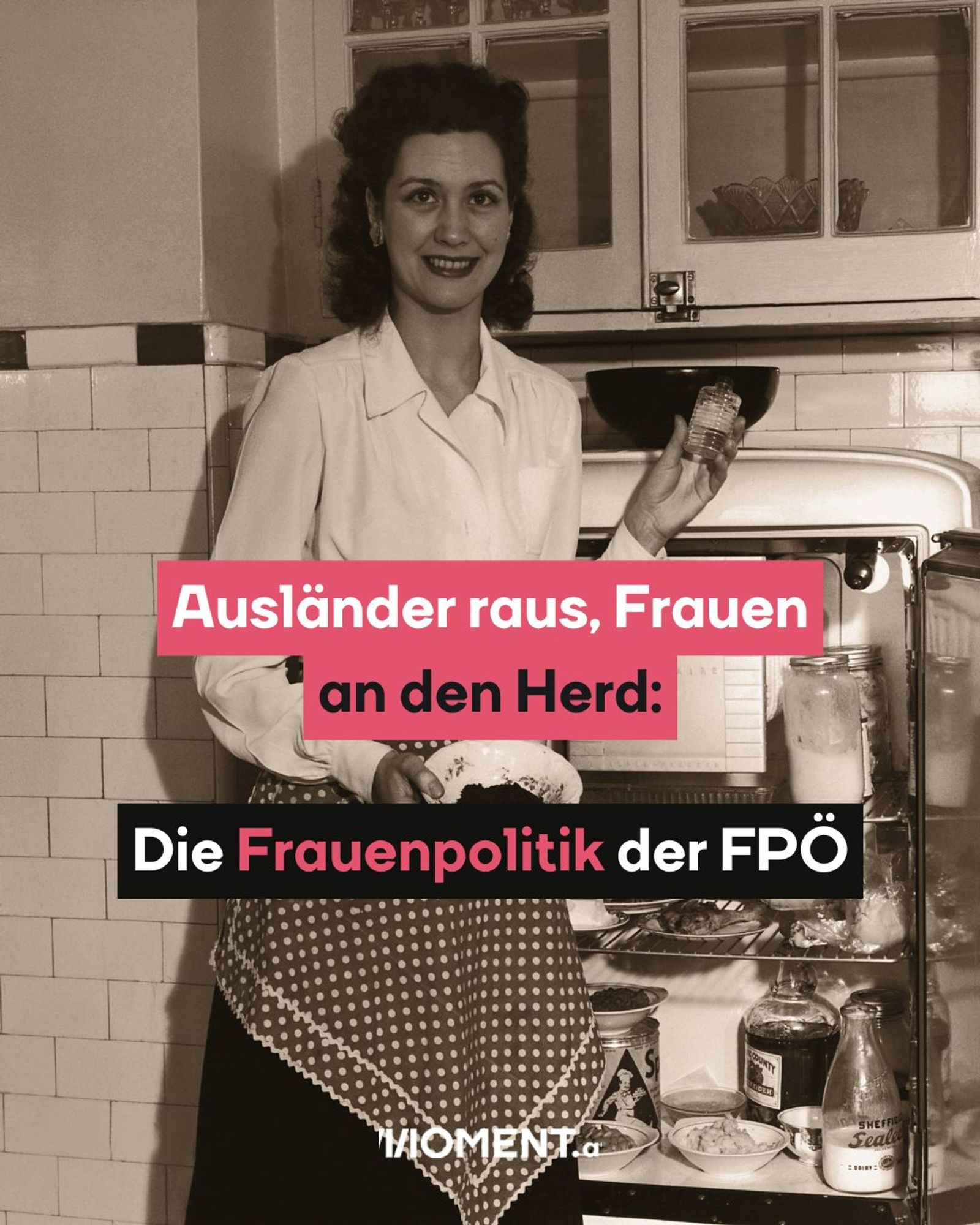 Ausländer raus, Frauen an den Herd. Die Frauenpolitik der FPÖ. Im Hintergrund ein Bild einer Hausfrau aus den 1950er