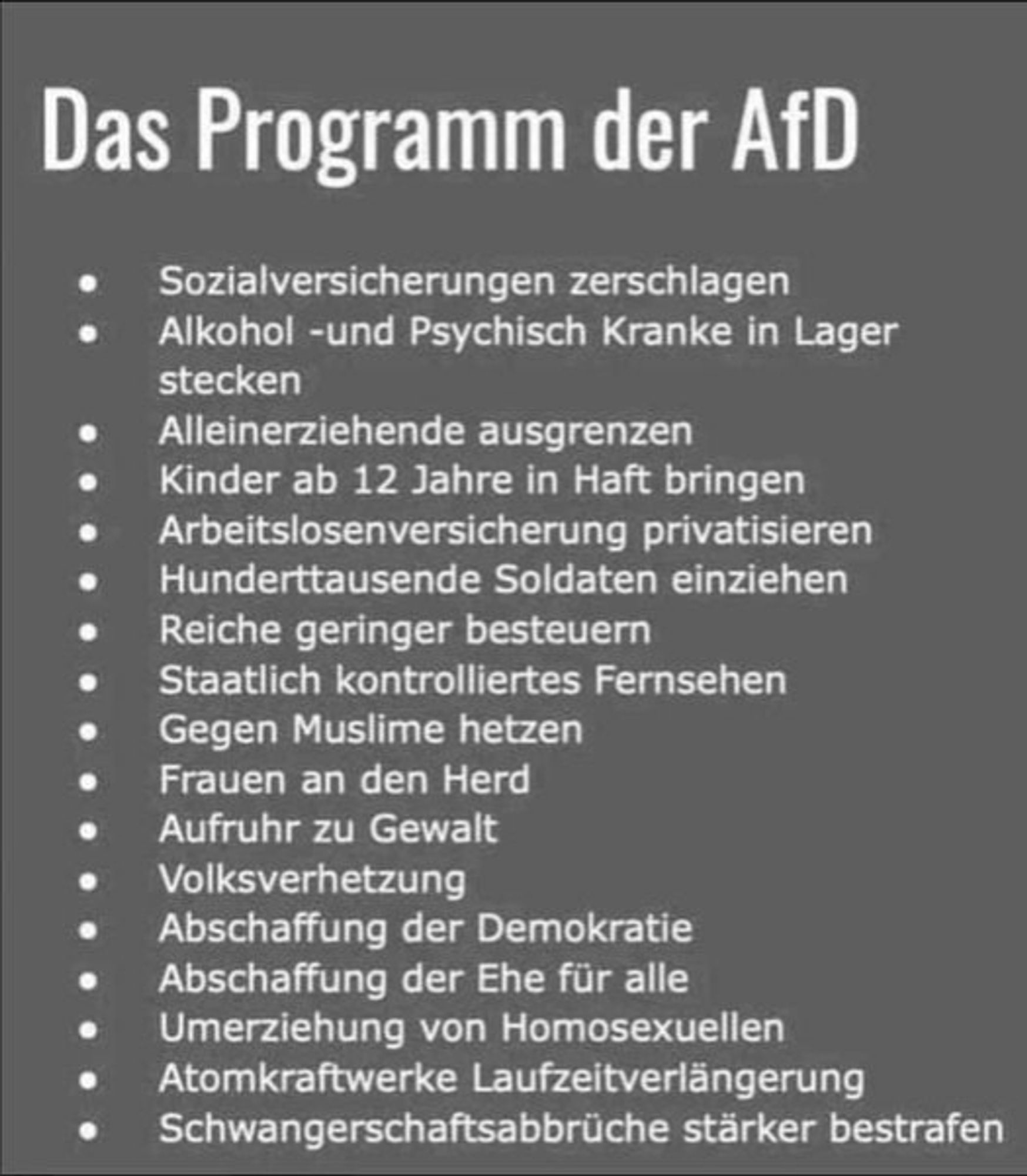 Programm der AFD