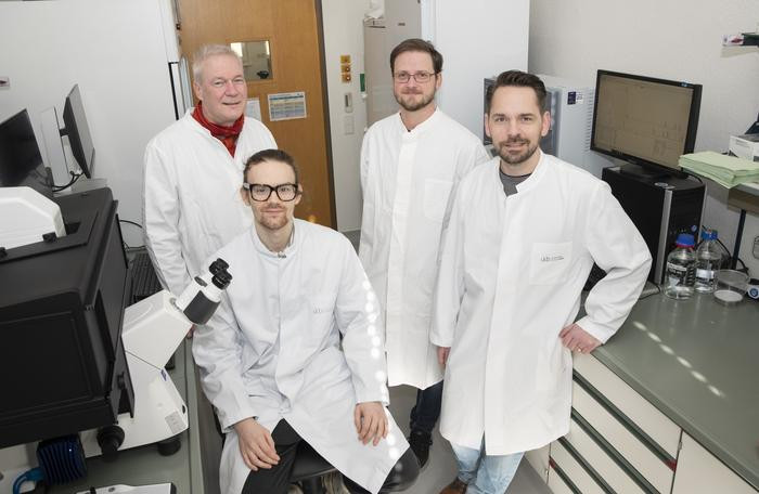 (from left to right) Prof. Ulrich Kubitscheck, Jan-Samuel Puls (front), Dominik Brajtenbach and Dr. Fabian Grein discover a new lantibiotic, namely epilancin A37, with a unique mechanism of action.

Many bacteria produce substances to gain an advantage over competitors in their highly competitive natural environment. Researchers at the University Hospital Bonn (UKB), the University of Bonn and the German Center for Infection Research (DZIF) have discovered a new so-called lantibiotic, namely epilancin A37. It is produced by staphylococci that colonize the skin and acts specifically against their main competitors there, the corynebacteria. This specificity is presumably mediated by a very special mechanism of action, which the researchers were able to decipher in detail. Their results have now been published in the renowned ISME Journal.