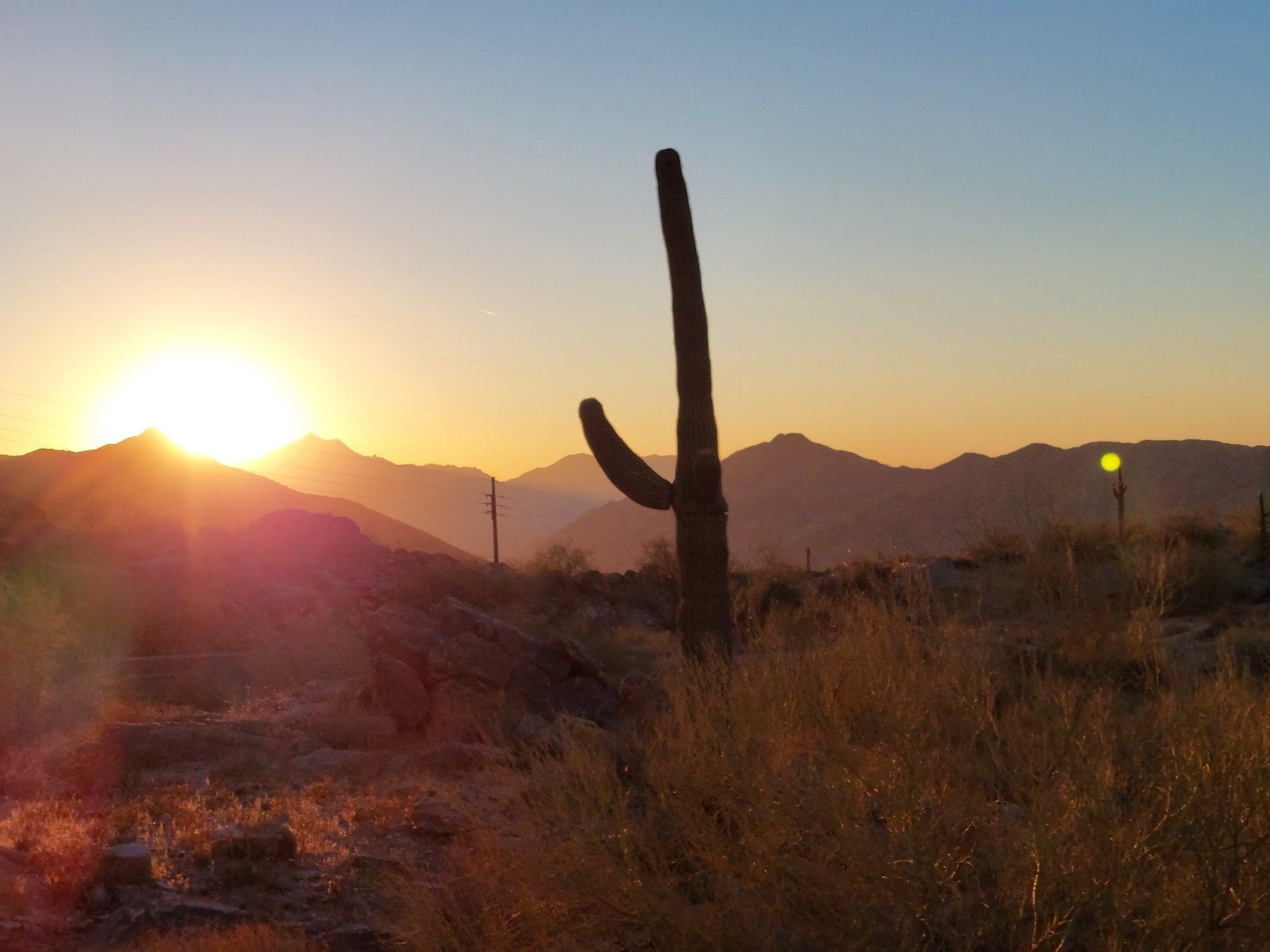 A large cactus with one arm, mountains and sunset in the background