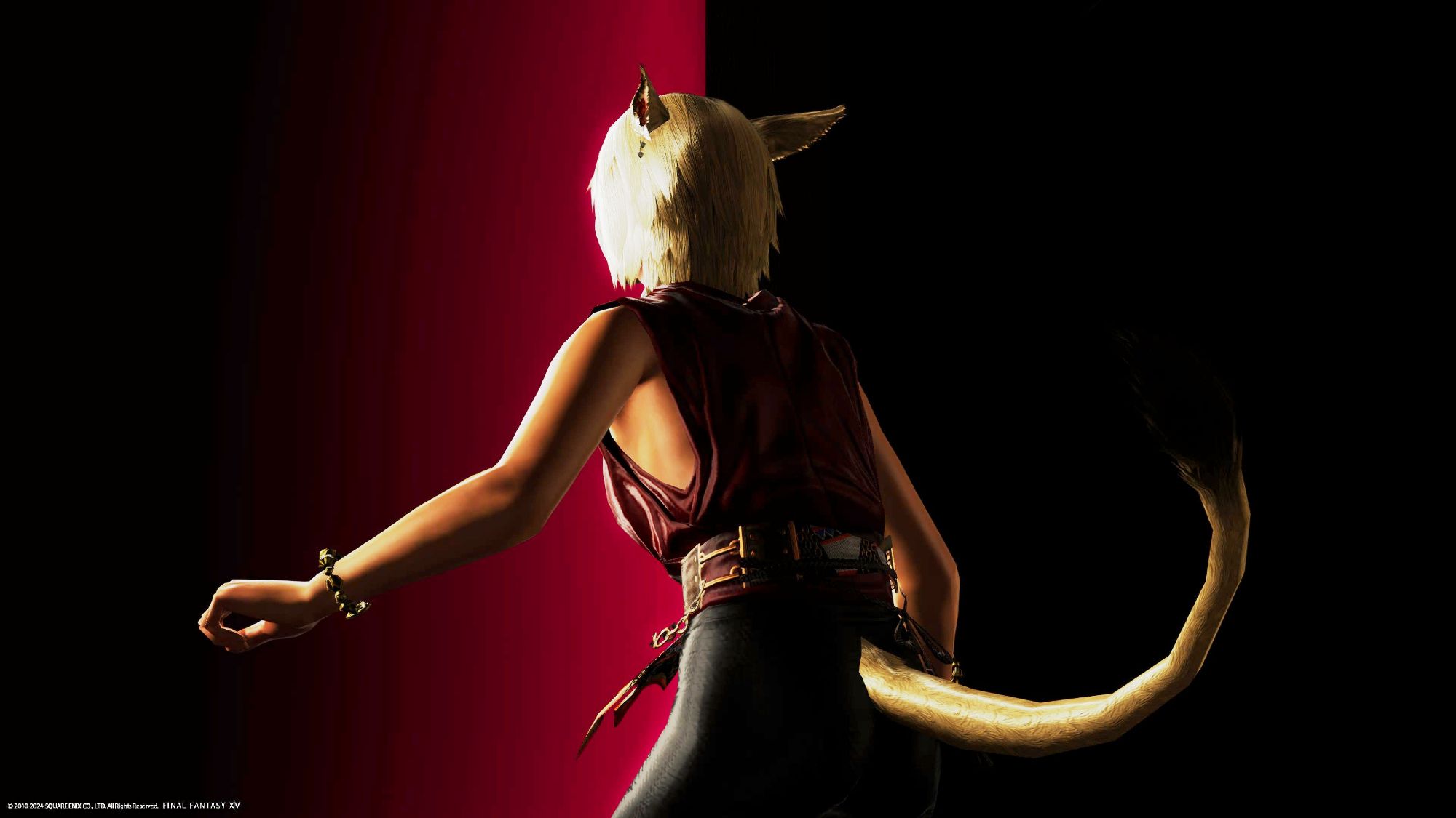 Screenshot from Final Fantasy XIV. A blonde miqo'te female, her back to the camera, stands in front of a background that is solid red on the left and solid black on the right.