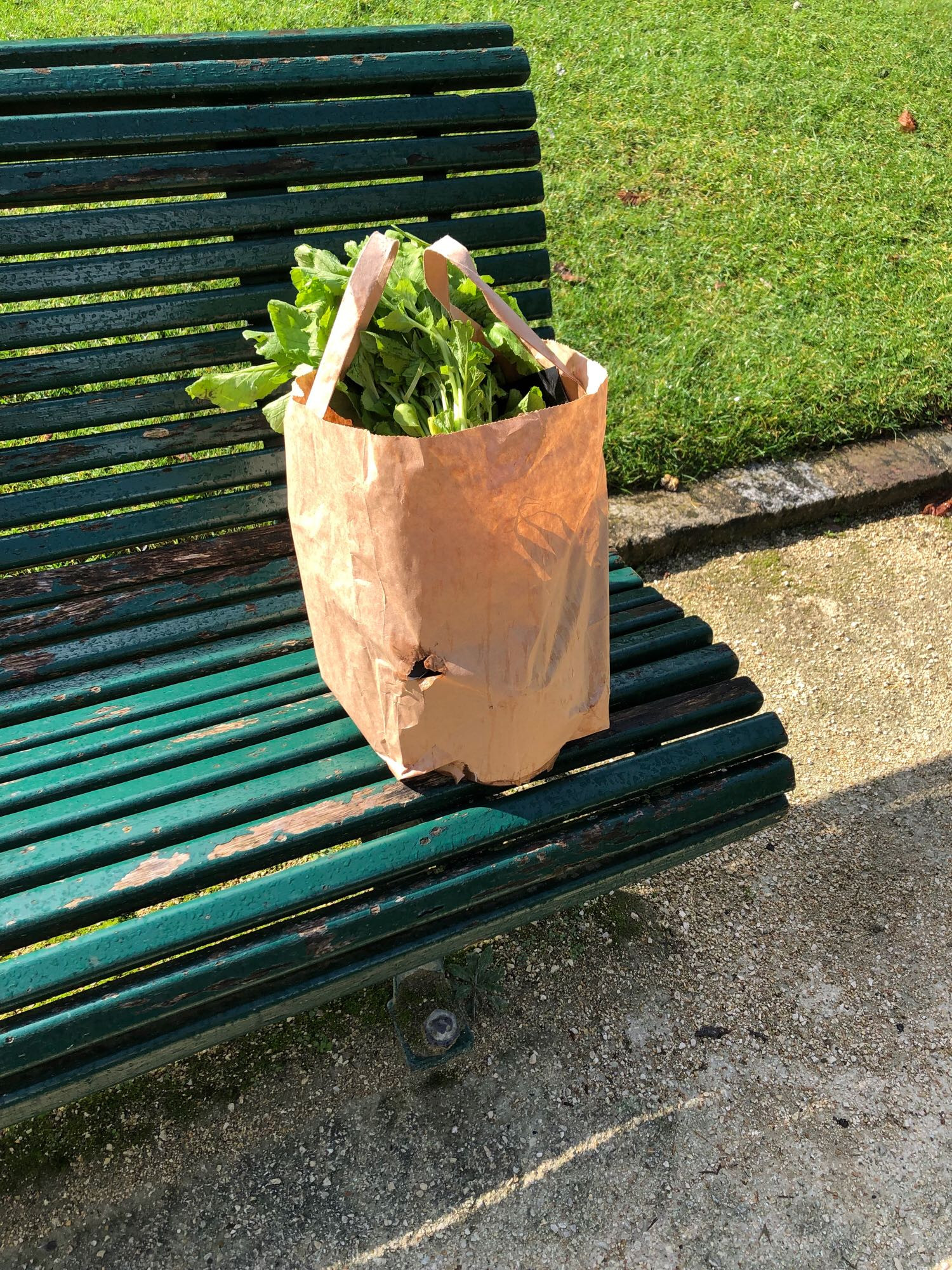 Sac de course posé sur un banc avec du feuillage de légumes qui dépasse