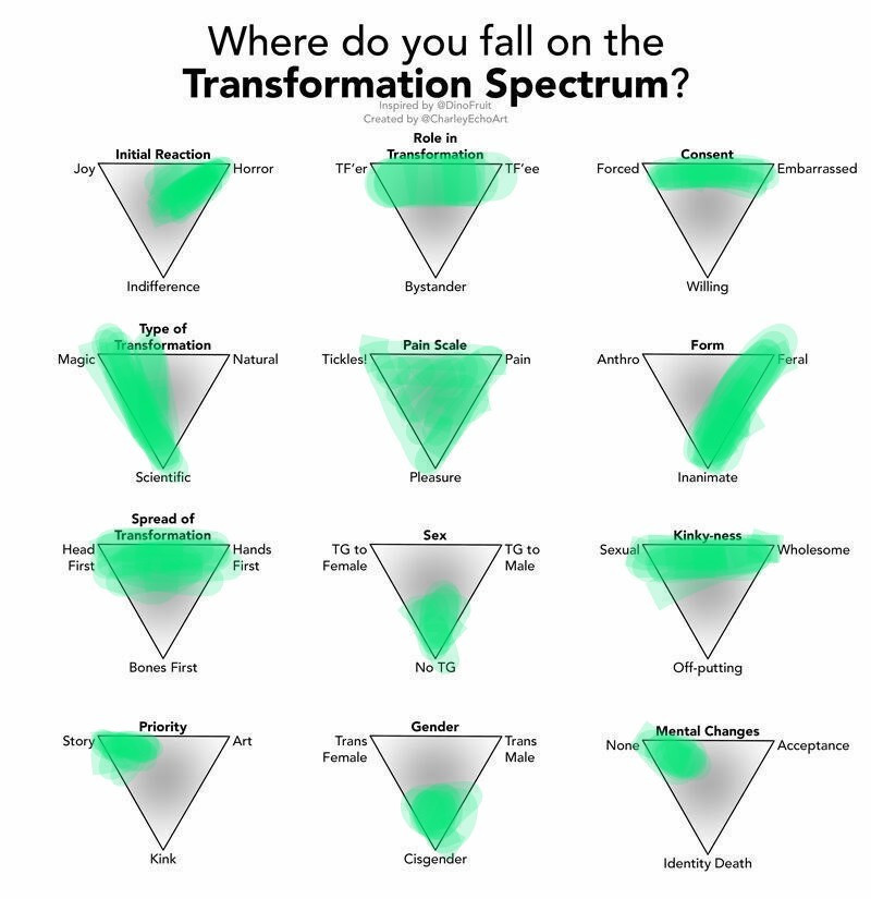 A test titled "Where do you fall on the Transformation Spectrum?" With answers filled with a green color by grrside. #TFEveryday #TF #TFsky