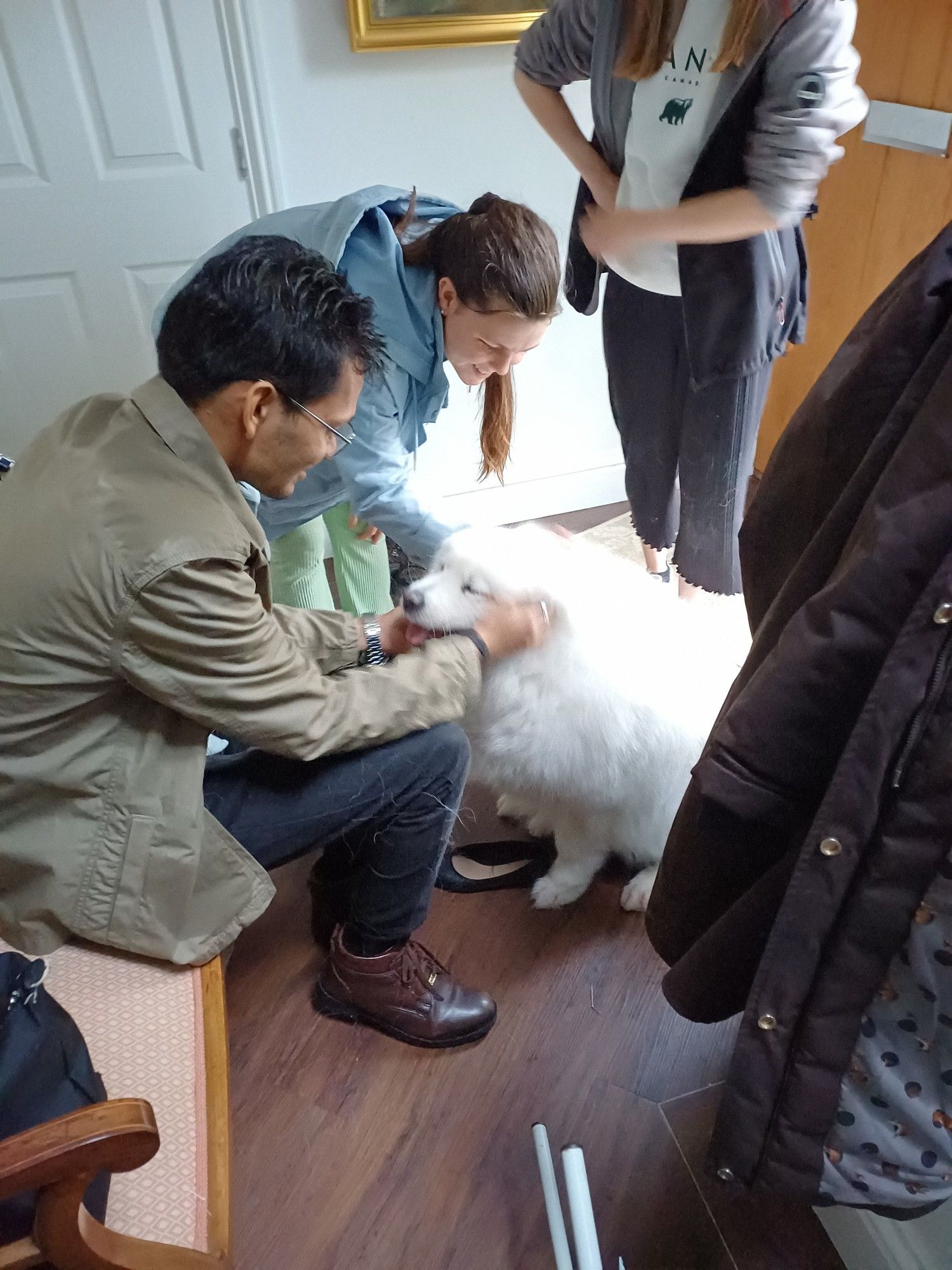 Anirudh and Lilia making friends with the resident Samoyed