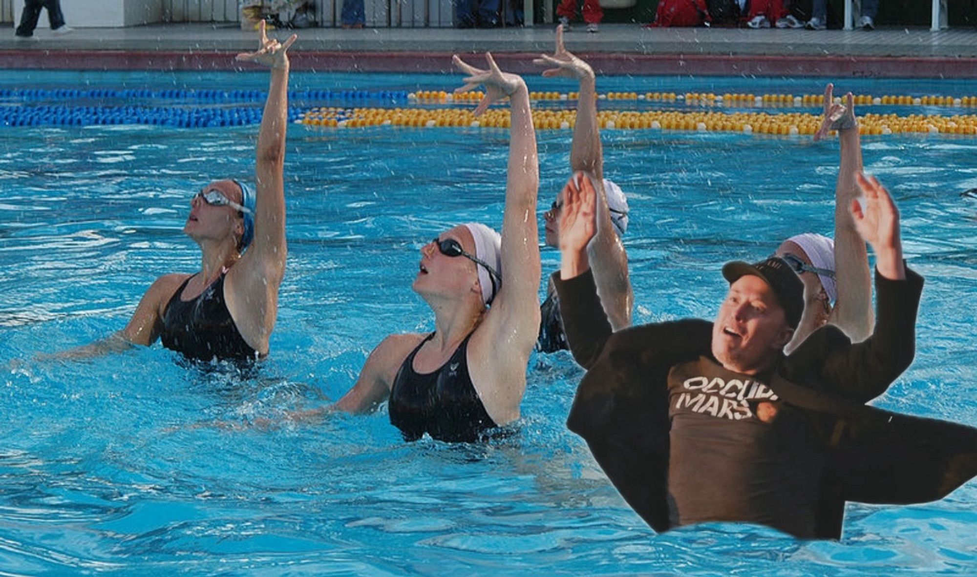 Springender elom ins schönschwimmen montiert