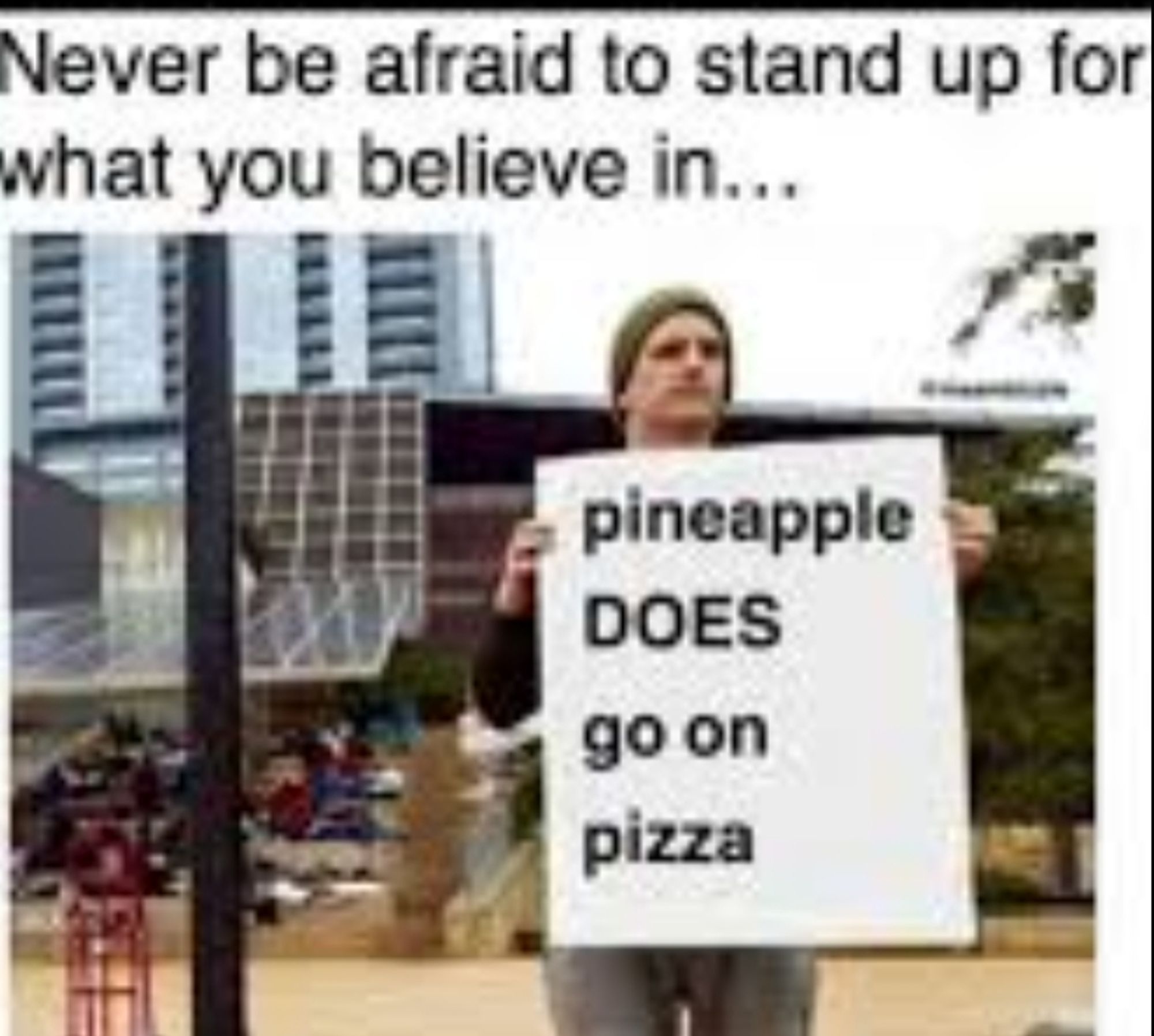 "Never be afraid to stand up for what you believe in."

Ein Typ hält ein Schild hoch, auf dem steht: "Pineapple DOES go on pizza"