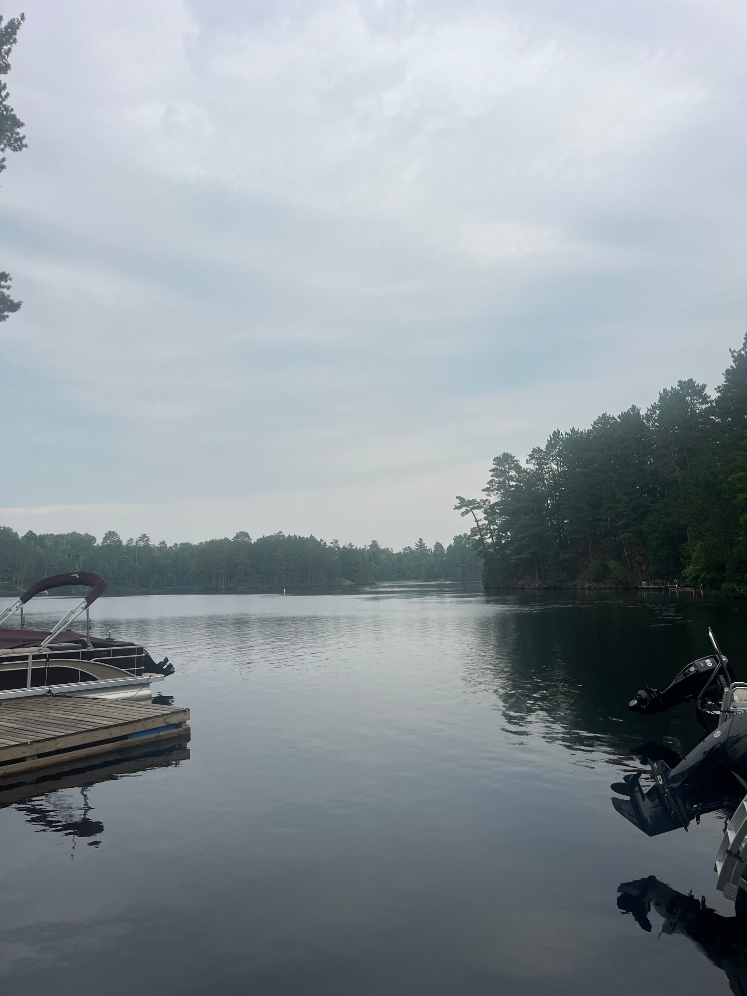 A dock overlooking a lake with wooded shores.