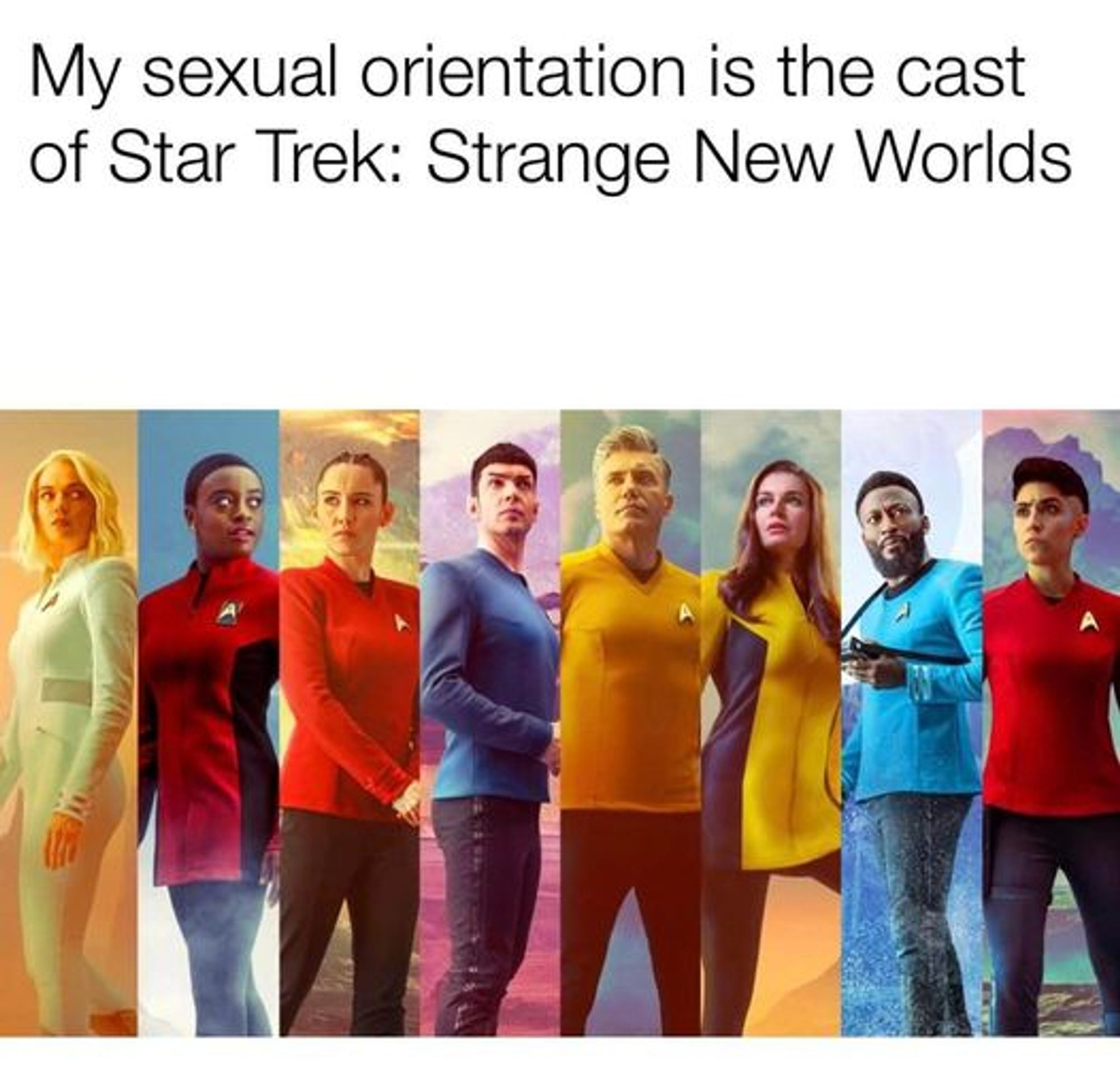 Cast of Strange New Worlds - Chapel, Uhura, La'an, Spock, Pike, number One, M'Benga, Ortegas. Text: My sexual orientation is the cast of Star Trek: Strange New Worlds