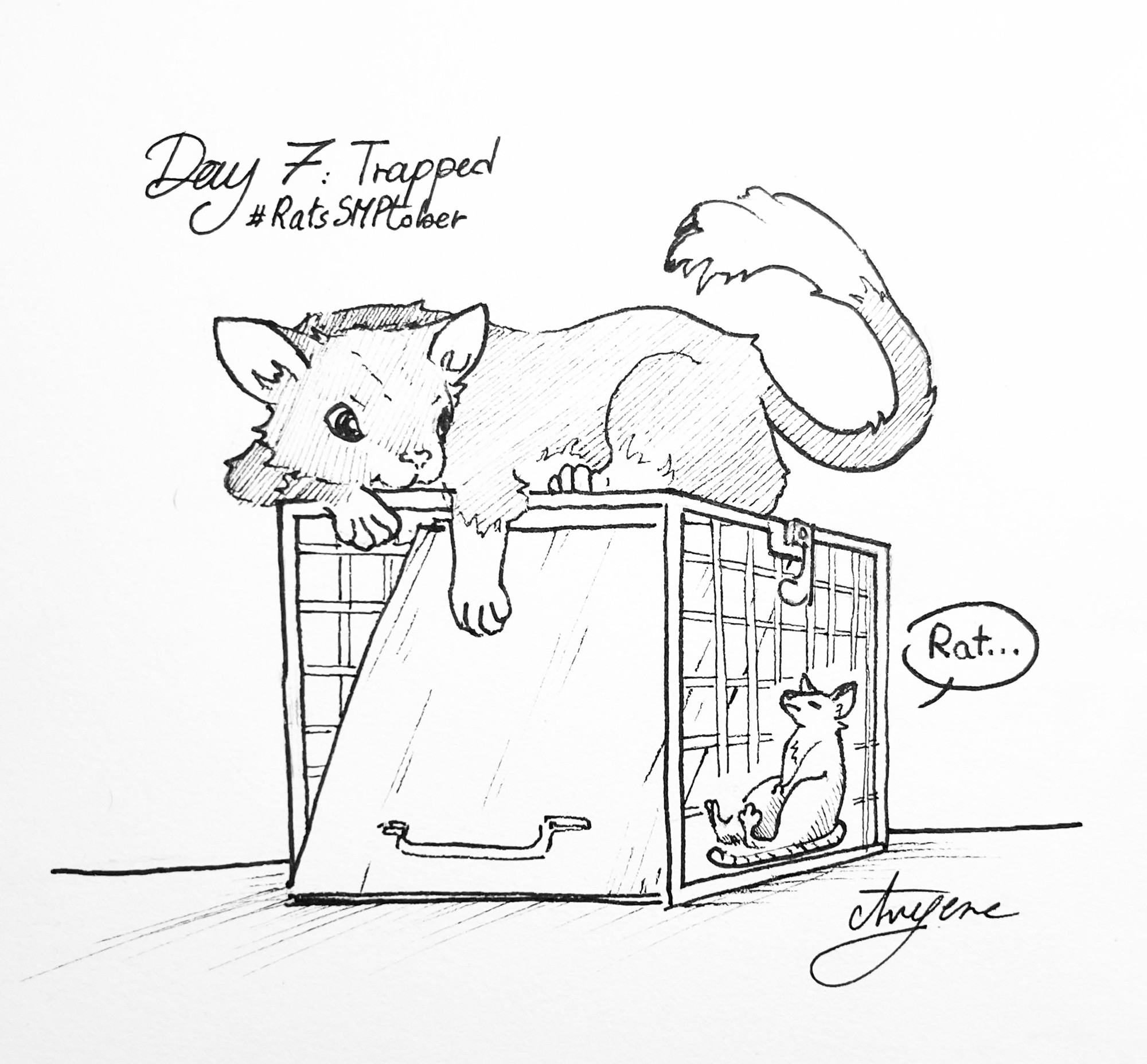 Rat mood of the day : being stuck in a rat cage