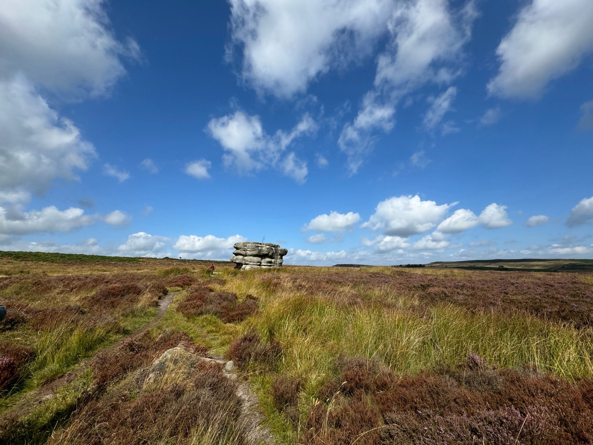 Eagle Stone stands aloft the heather, grasses and bracken