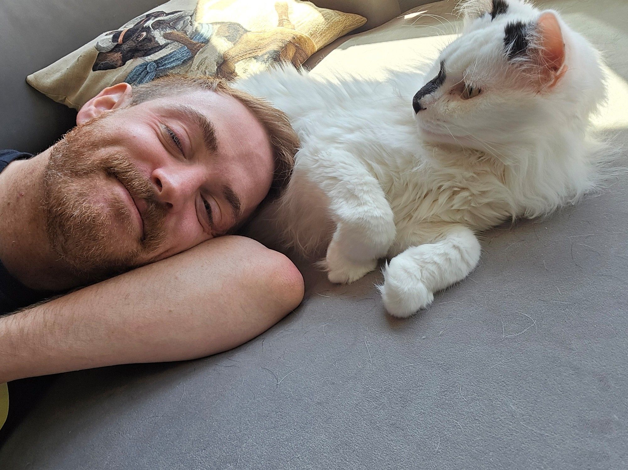 Selfie of me laying on my cats belly on the couch. He is now staring at me.