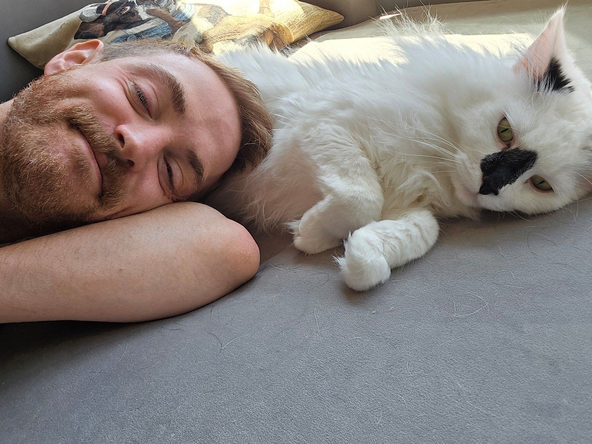 Selfie of me smiling with my head on my cat, laying on the couch