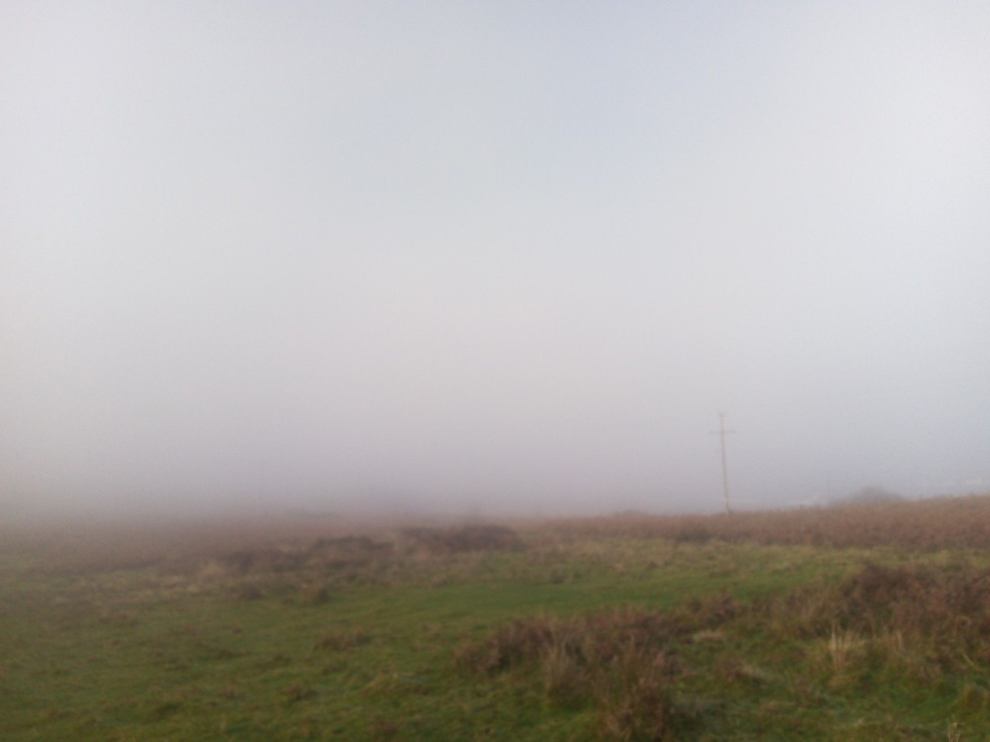 Low mist on moorland.