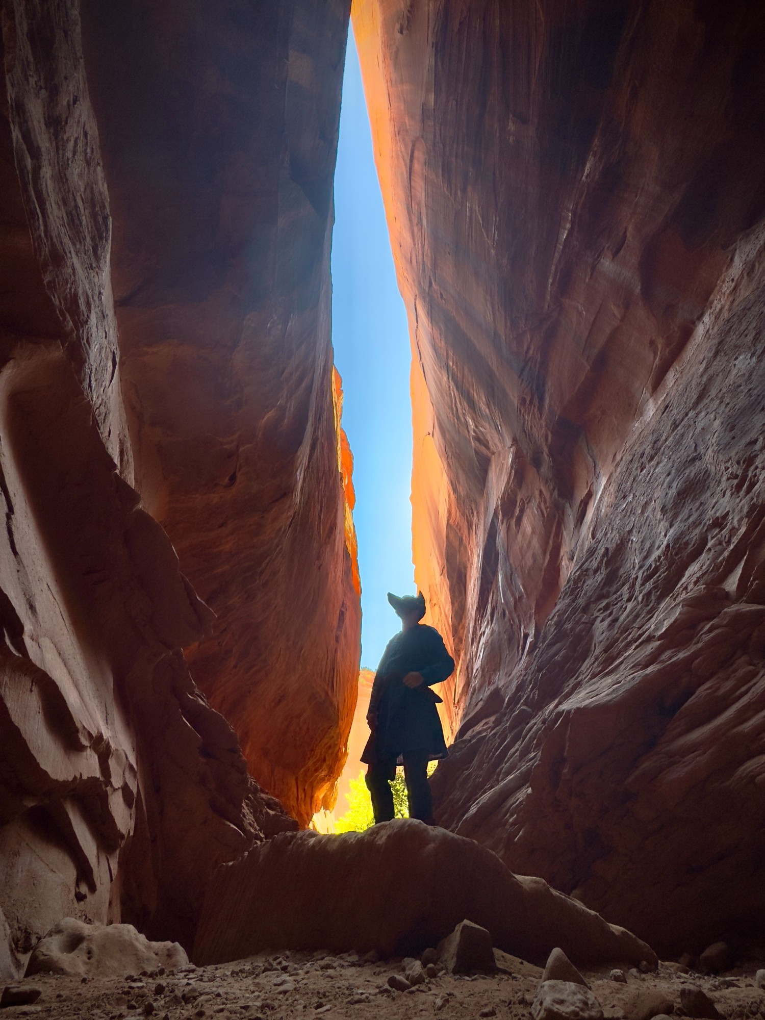 Cosplaying with the dark canid mask in a bright red slot canyon. Posing standing on a rock, looking up at the blue sky shining in a straight line above me. A vibrant cottonwood tree glows green at the bottom of the canyon, right behind me.