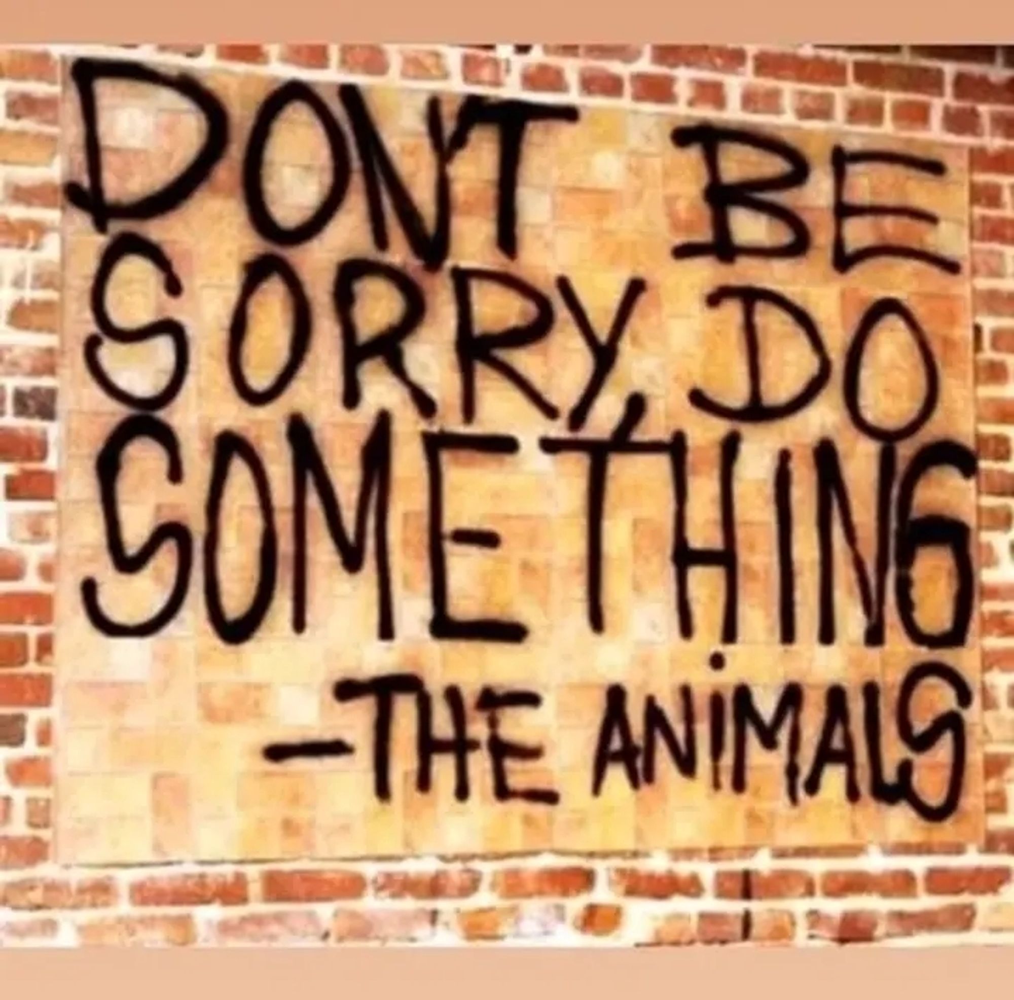 Eine Ziegelsteinmauer, auf der 
DON'T BE SORRY, DO SOMETHING 
-THE ANIMALS 
gesprüht steht.