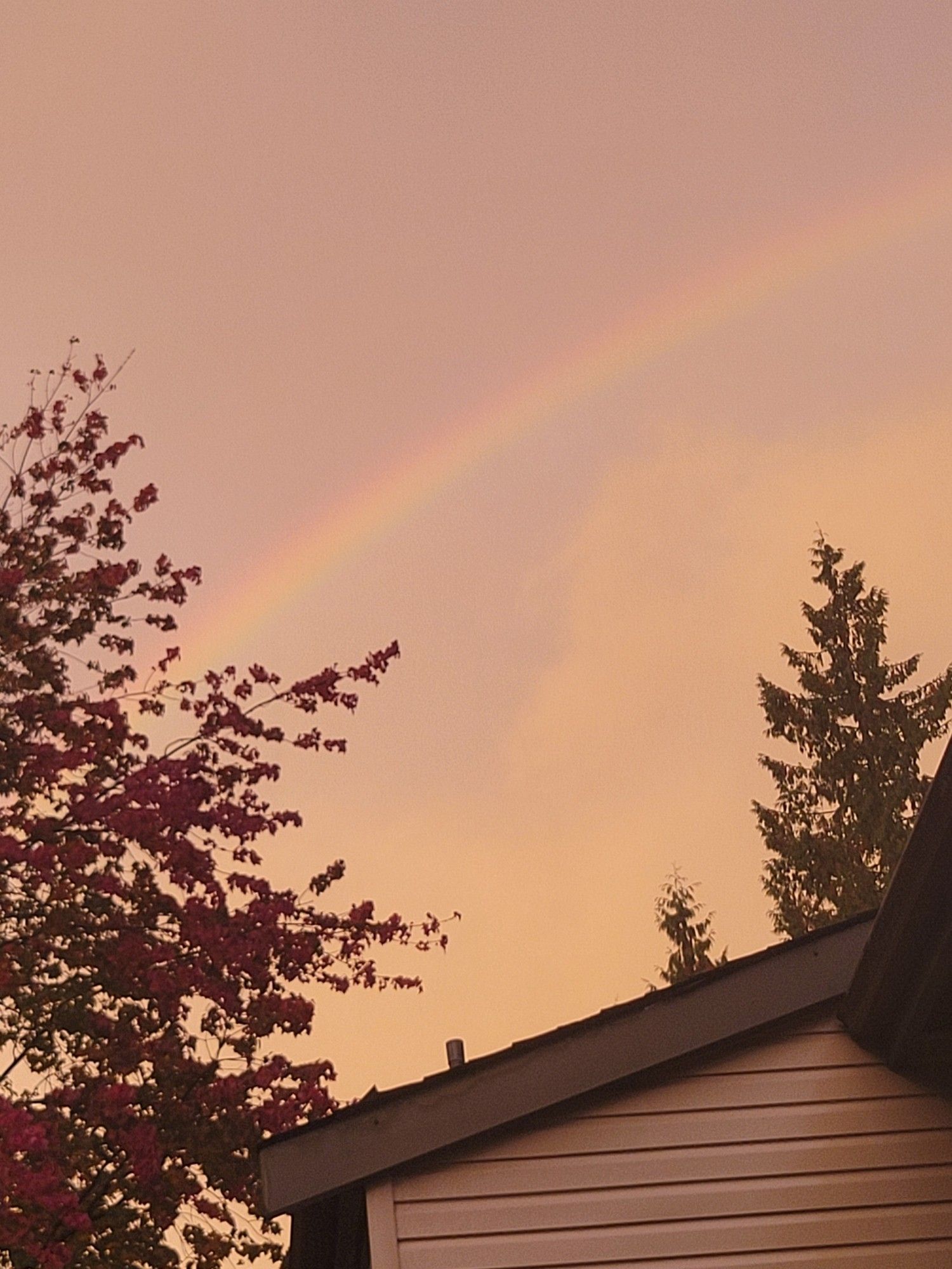 yellow sky with a pretty rainbow