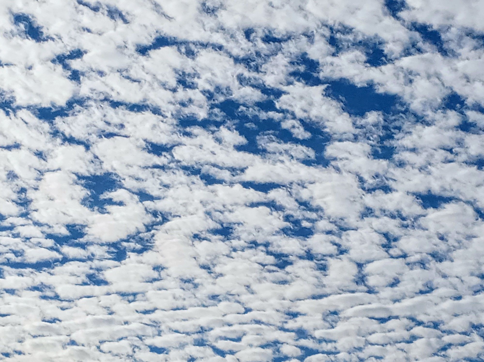 Blue sky mottled with clouds