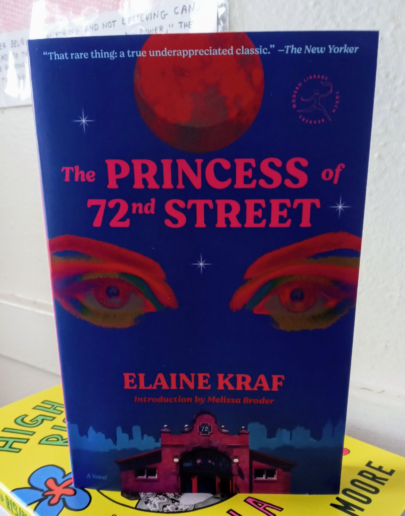 Cover of The Princess of 72nd Street. Blue with eyes