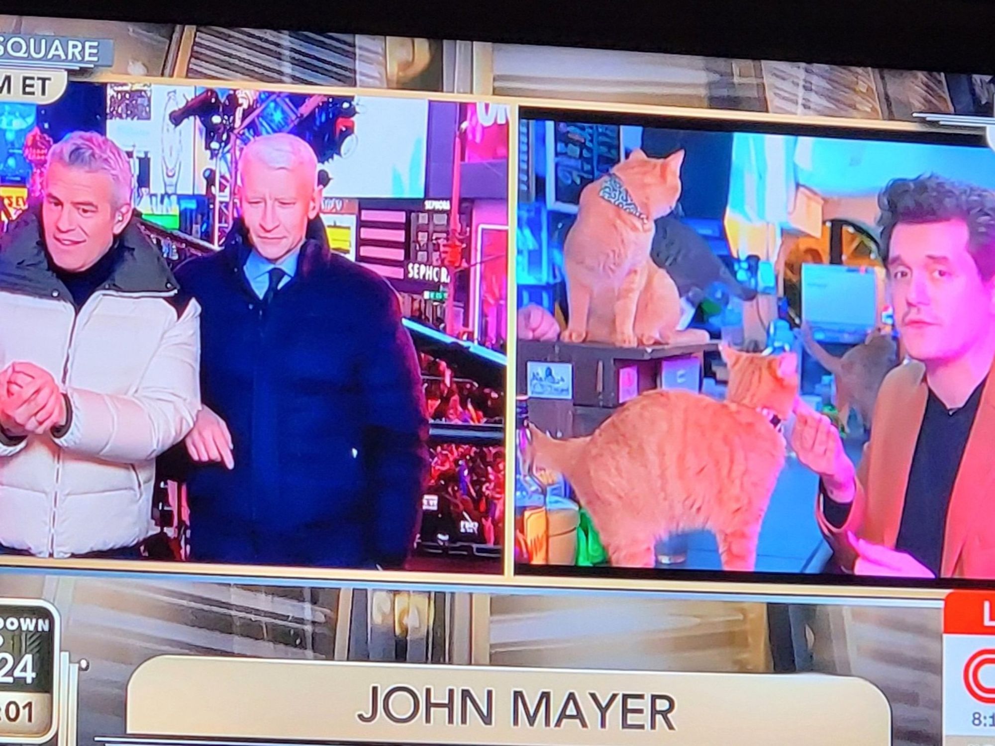 John Mayer in a cat cafe in Tokyo.  Cooper/Cohen seemed incredulous.