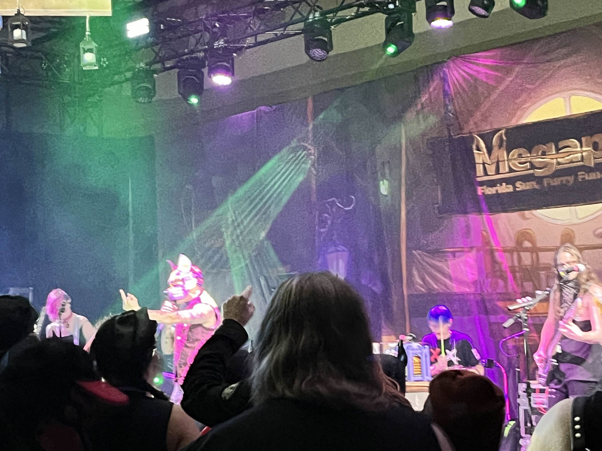 A punk concert at the Megaplex 2024 main stage. The band shown is Dog Park Dissidents. The photo shows four band members in frame with three playing their instruments whilst the main singer has a spotlight on them.