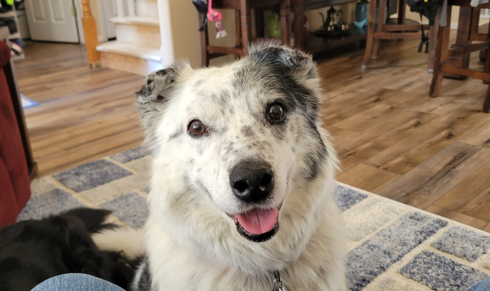 The prettiest girl