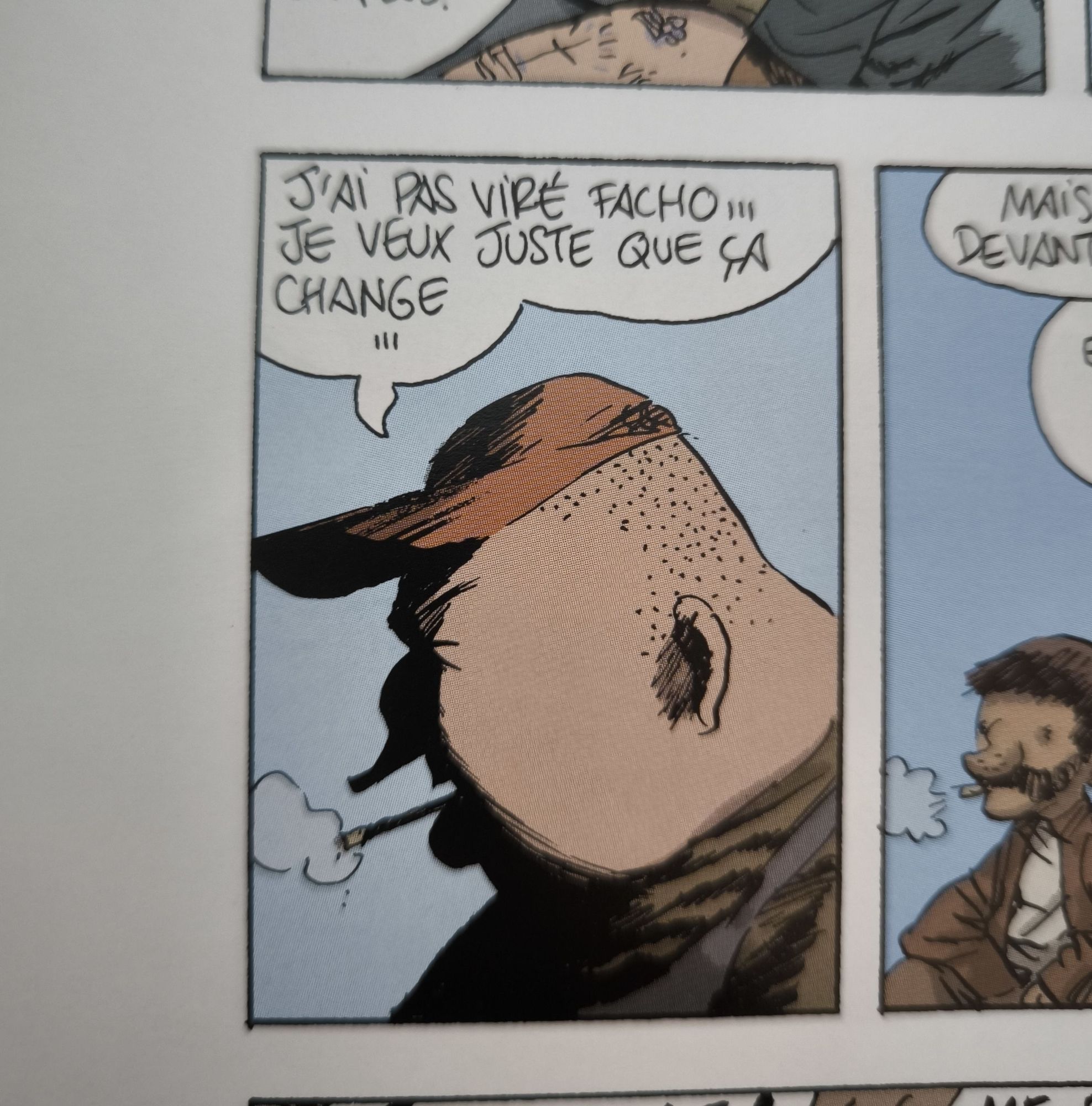 Vignette de la bd le combat ordinaire où le personnage dit "j'ai pas viré facho je veux juste que ça change"