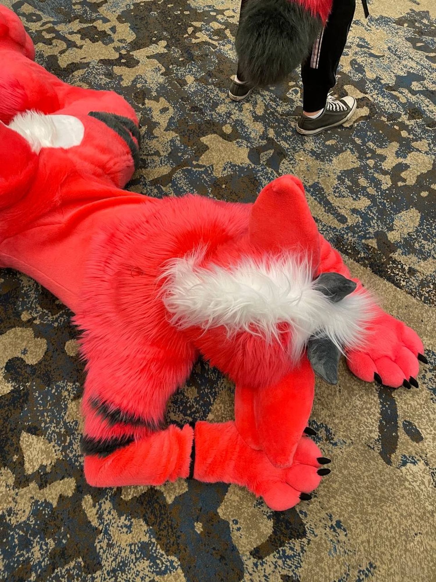 Malvi the red fluffy dragon passed out on the floor