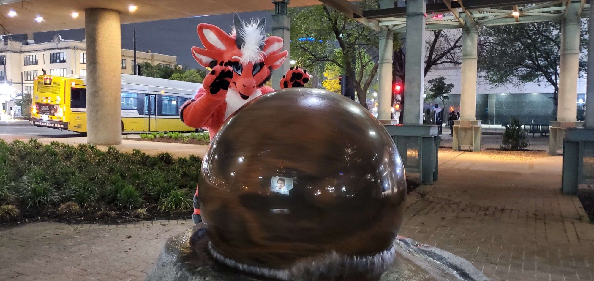 Fluffy derg Malvi pushing a stone ball