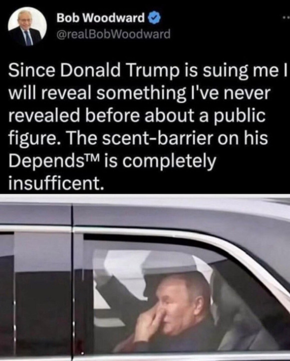 Bob Woodward

@realBobWoodward

Since Donald Trump is suing me I will reveal something I've never revealed before about a public figure. The scent-barrier on his Depends™™ is completely insufficent.