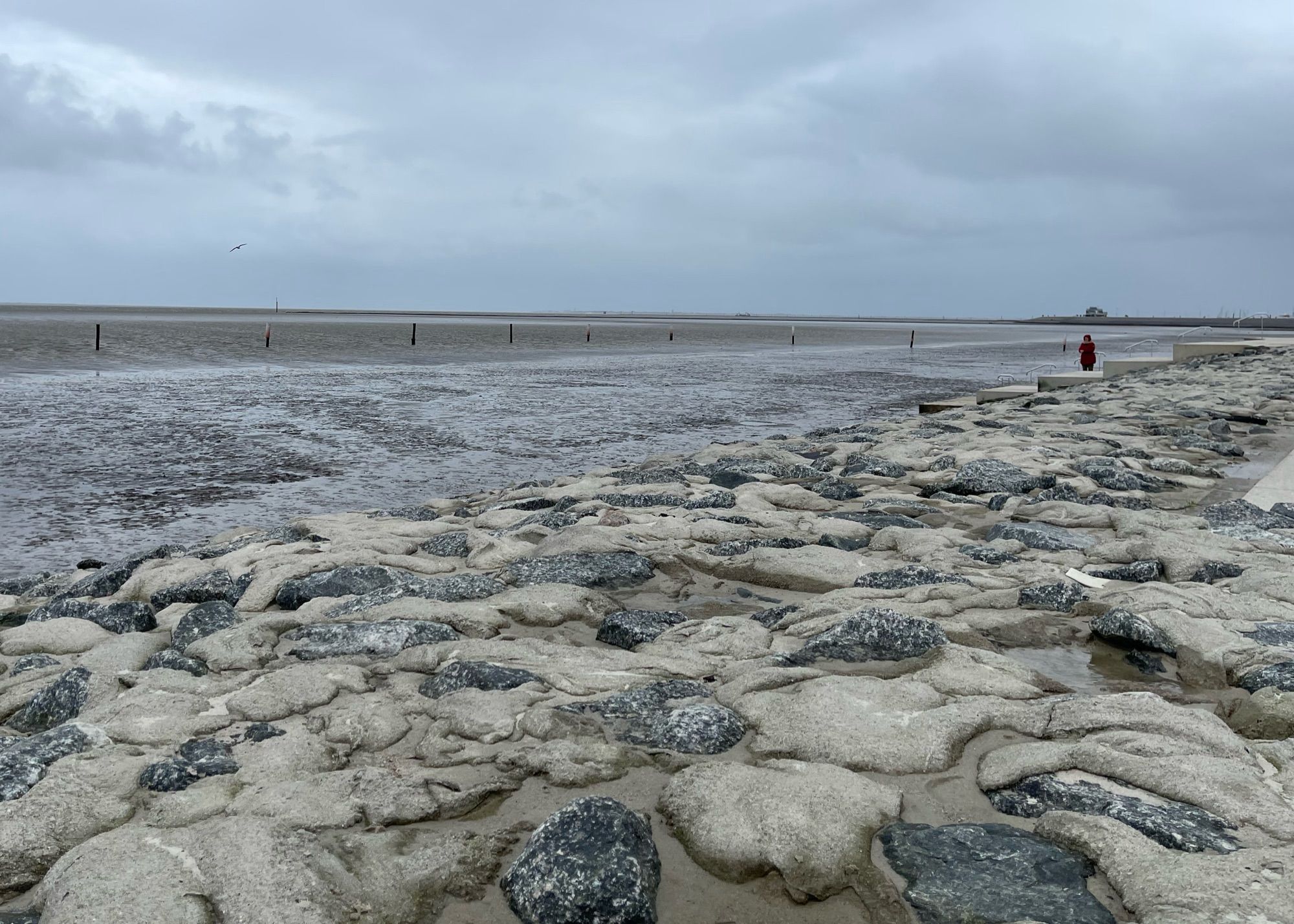 Weltnaturerbe Wattenmeer