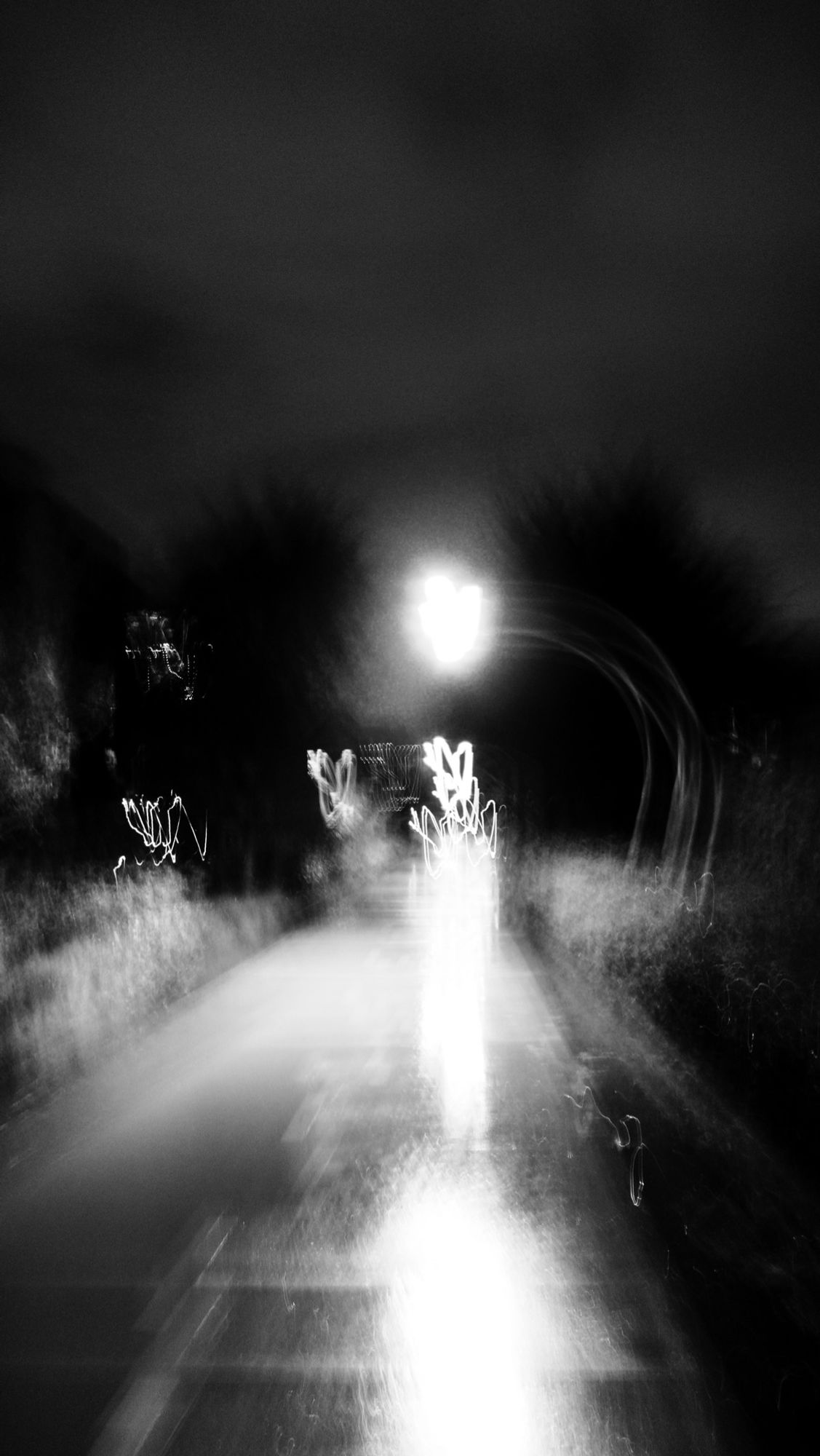 Nighttime. An abstraction of the 606/Bloomingdale Trail. Extreme camera movement and a long shutter speed create blurring and light trails.