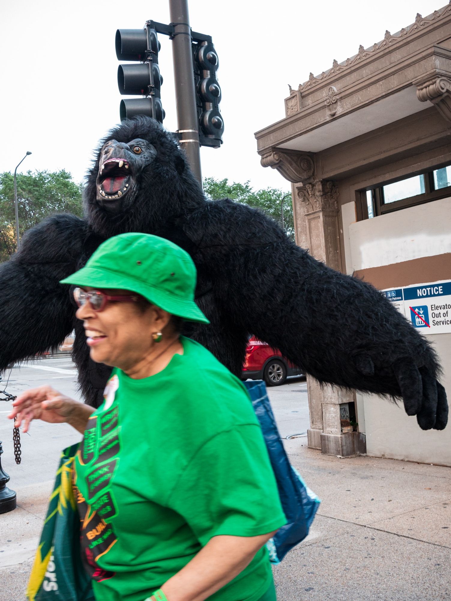 Daytime. A woman in the foreground, dressed all in the color green,  moves quickly through the frame laughing, while a person in a very large gorilla suit looms over her with its arms outstretched, as if to approach in a playful attack. A street traffic stop light can be seen behind the gorilla-costumed person, indicating that the scene is taking place on a sidewalk and street intersection.