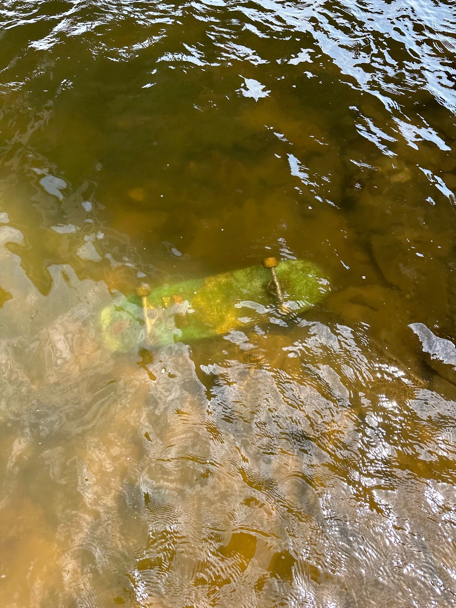 A skateboard submerged in water surrounded by algae-covered rocks