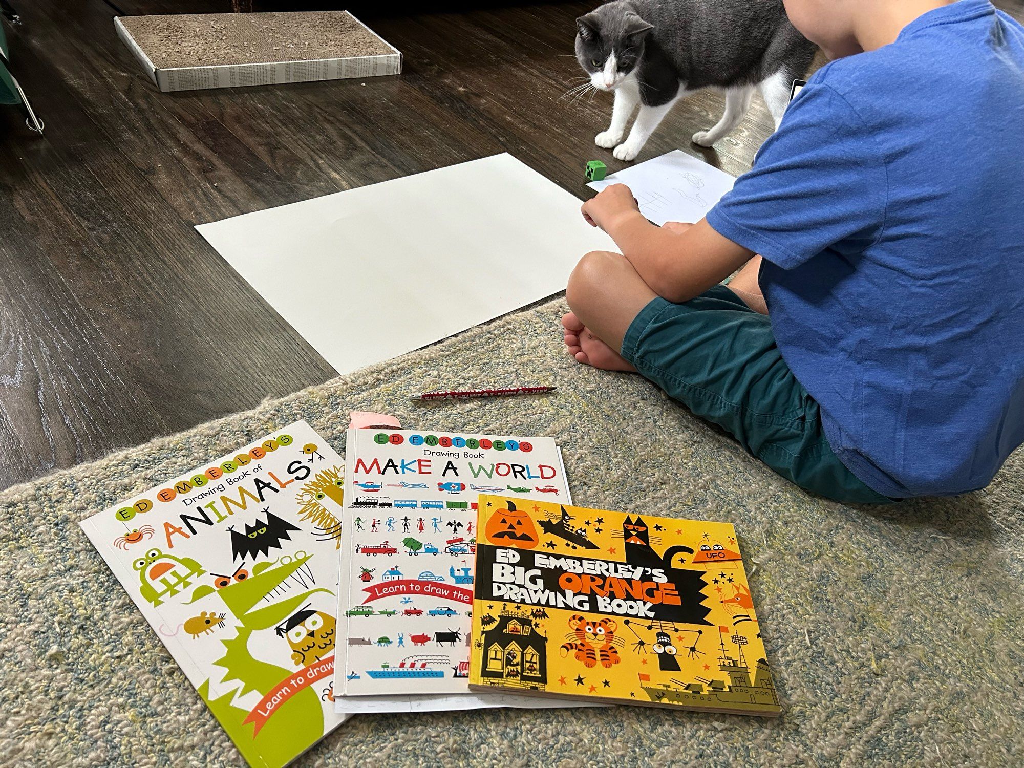 My kid is sitting on the floor with a sheet of poster paper for a school project. Three of Ed Emberley drawing books are arrayed on the carpet. Ed Emberley’s drawing manuals celebrate doodling over realism and to this day I find them magical. Also, our cat Knightley watches my kid at work, wondering if there’s anything present that might be suitable to steal for a toy.