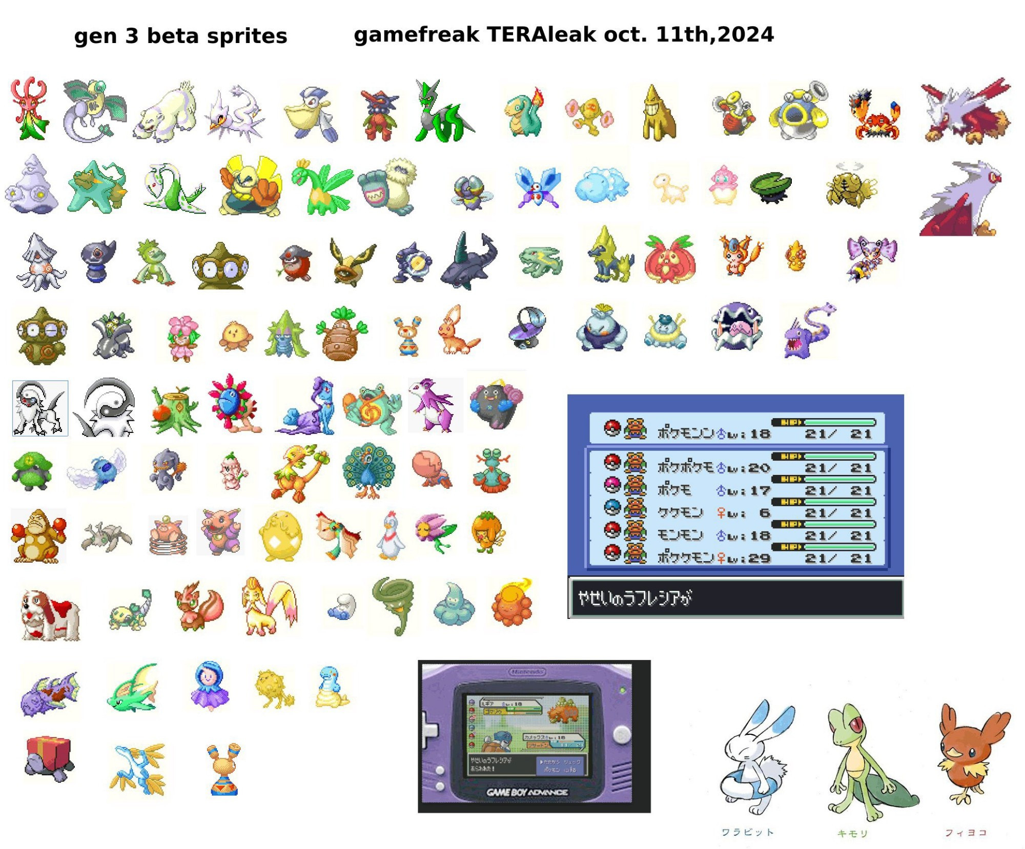 Pokemon gen 3 leaks