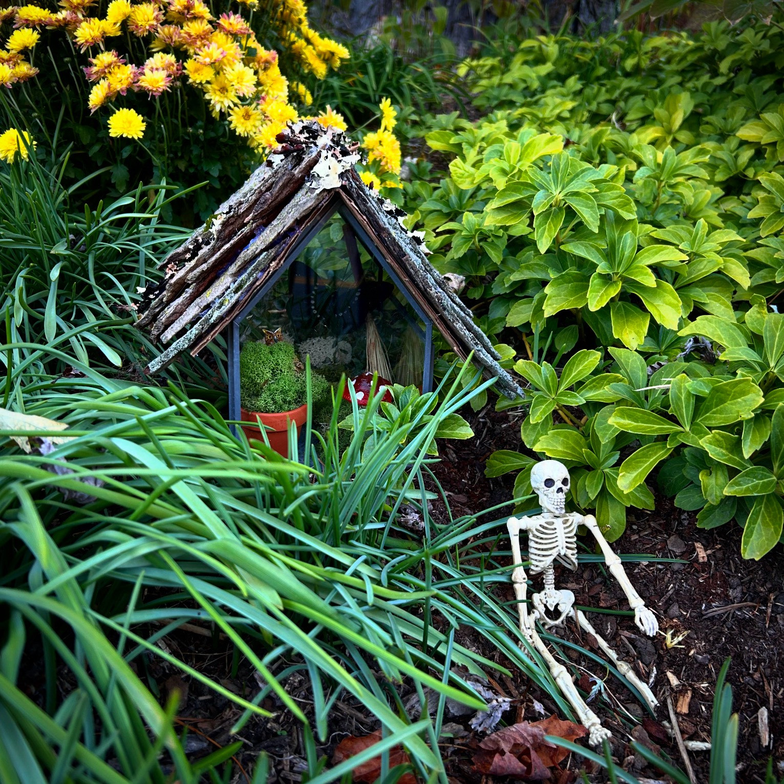 Tiny skeleton among some plants with a tiny fairy house