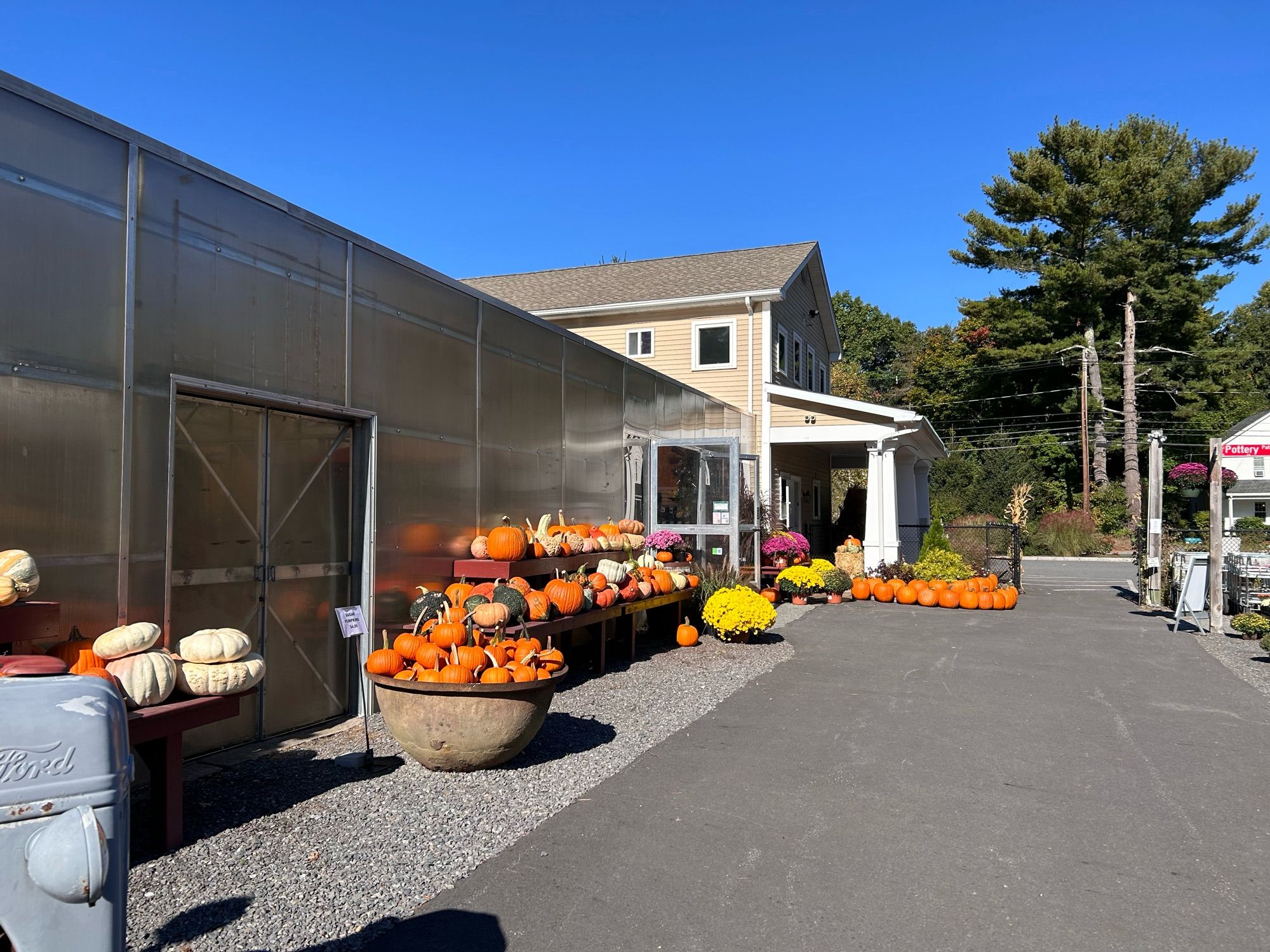 Many gourds and pumpkins for sale at a garden center on a clear, beautiful, blue sky day