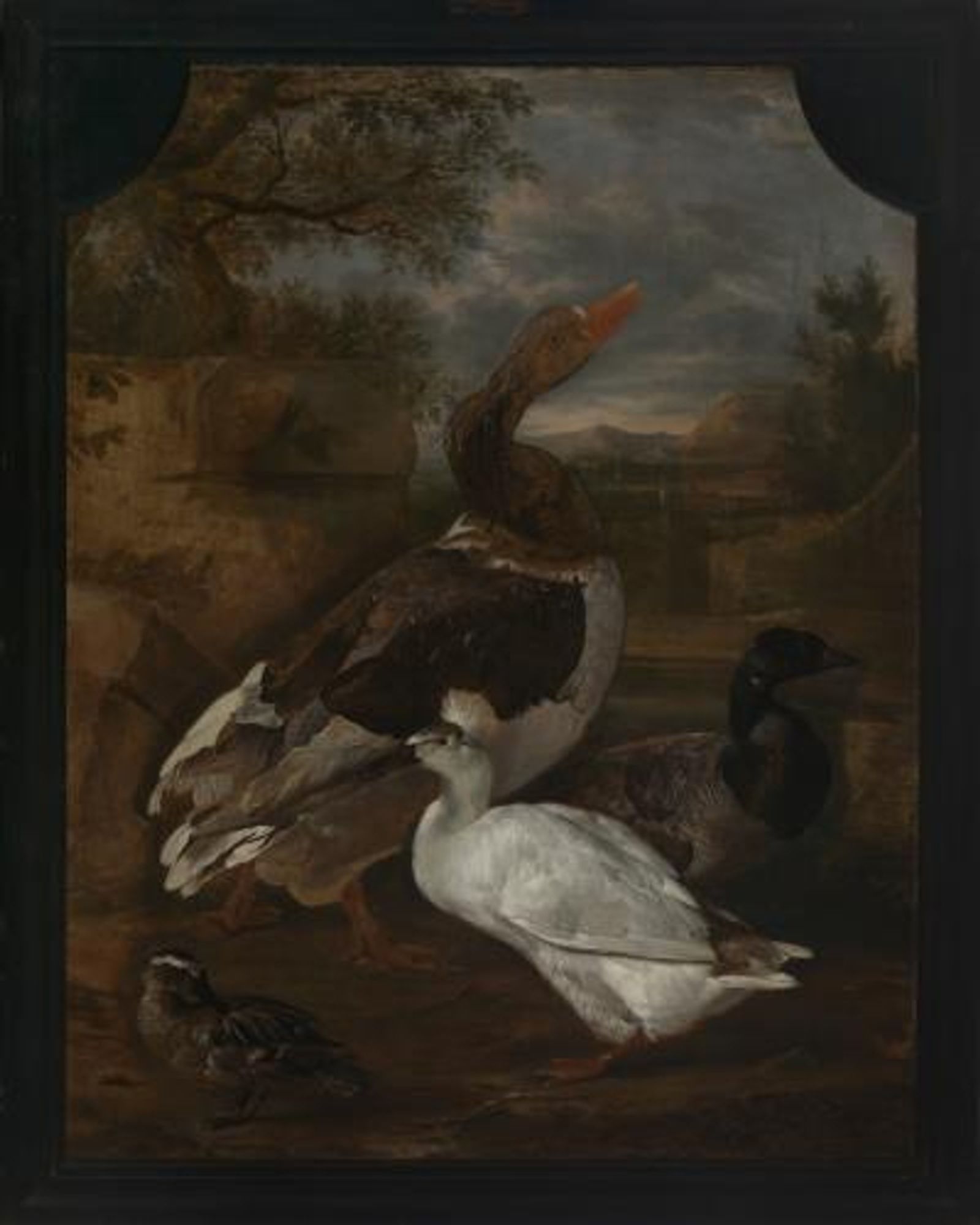 A goose and ducks in landscape with a wall fragment in the left foreground, a small colorful duck, a white crested duck, a goose and a colorful duck with a black head, neck and breast. Hills in the background.