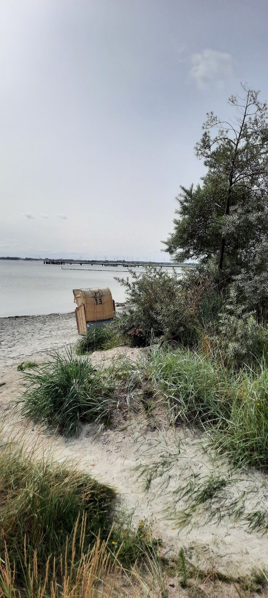 Mitten im Bild ein kleiner Strandkorb, oben bewölkter Himmel, außerdem Strand mit Grasbewuchs und rechts Teil eines Baumes